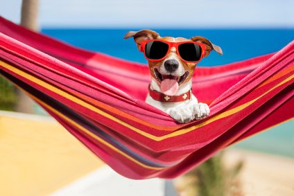 July Happenings!
