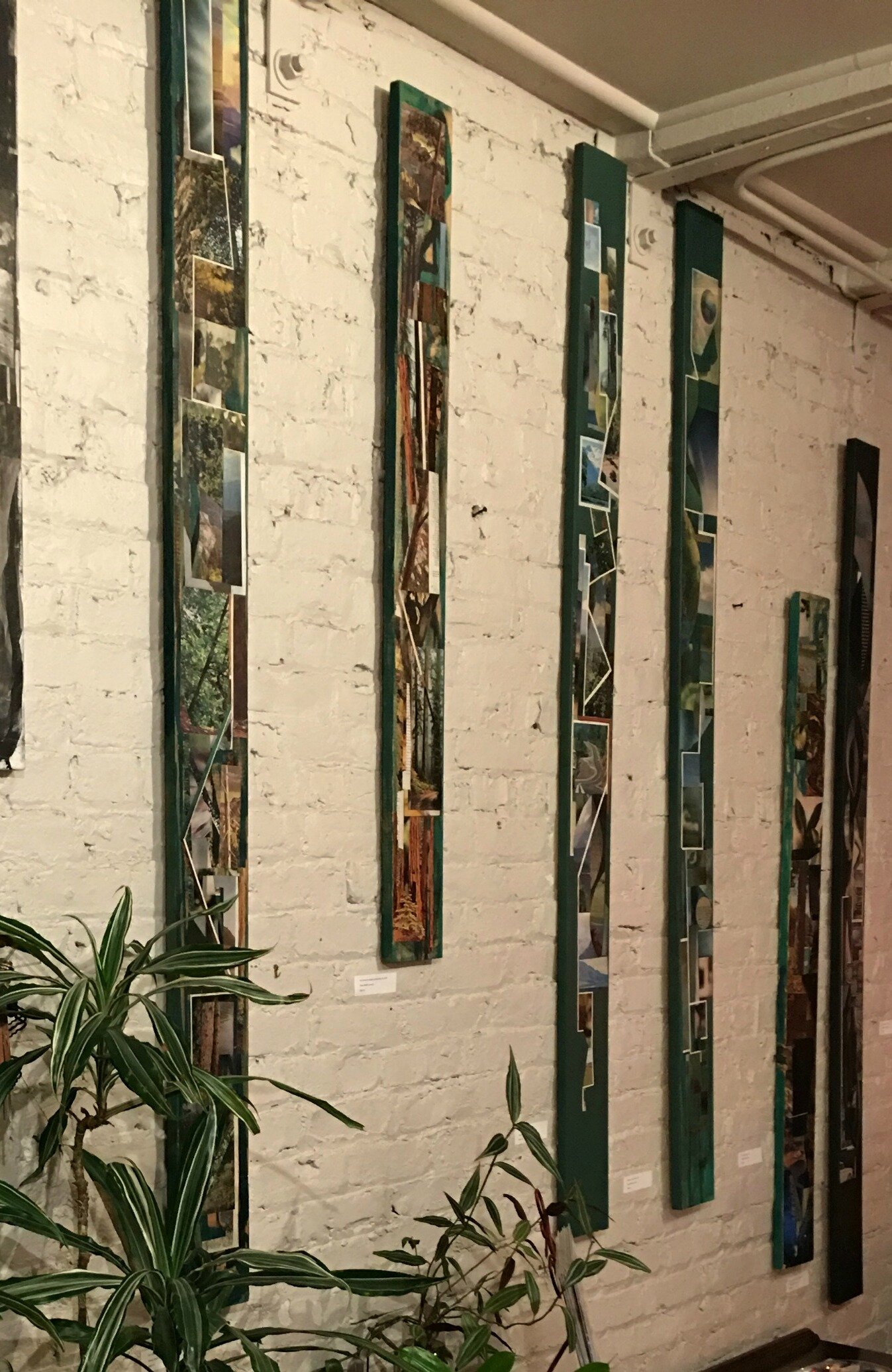 Wall of verticals at under the Sea Gallery 