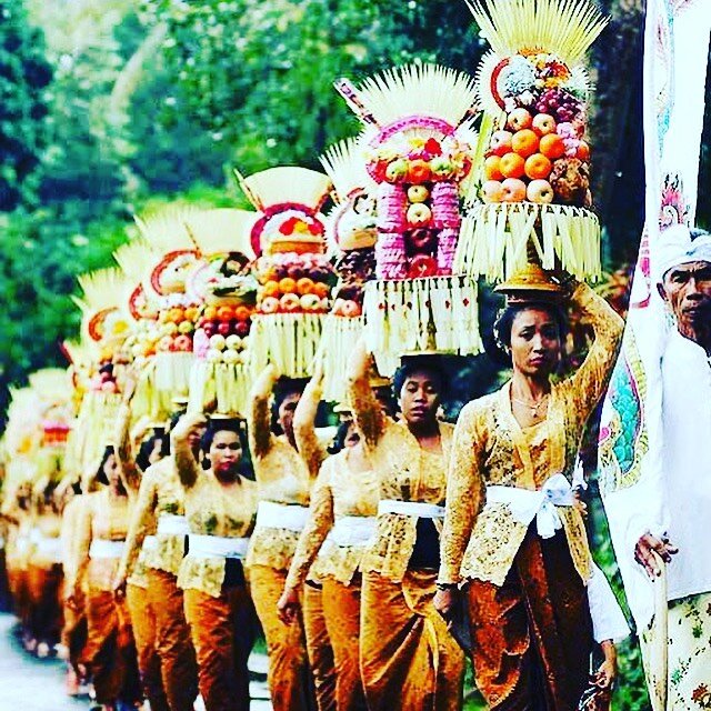 Galungan is a Balinese holiday which celebrates the victory of dharma over adharma (the triumph of good over evil). We live in tumultuous times....Here&rsquo;s to celebrating more days of victory in our future 🙏🏽🌍☮️✌🏽 &bull;
&bull;
Happy Galungan