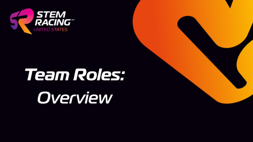 Team Roles Overview