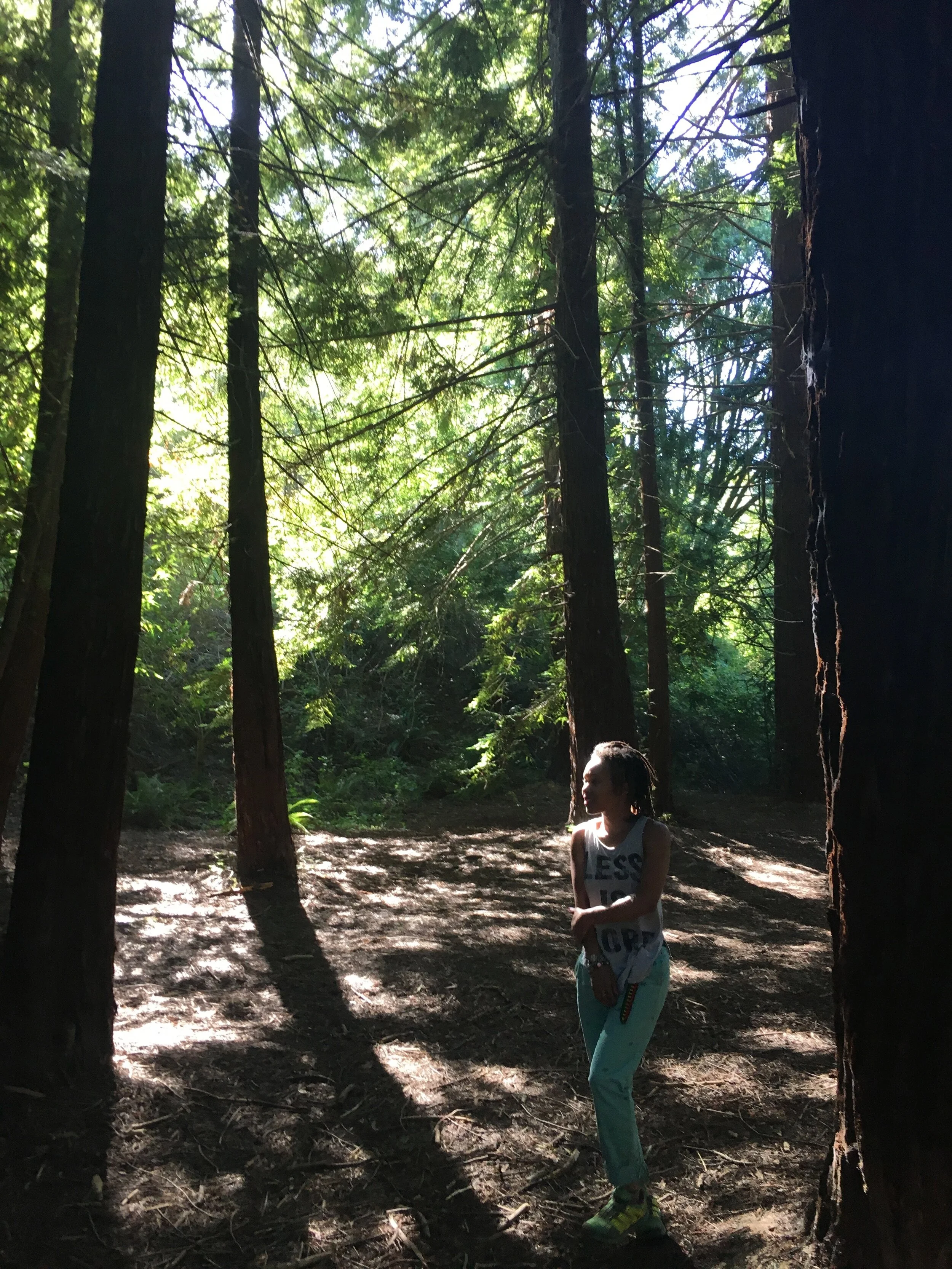 Redwood Regional Park