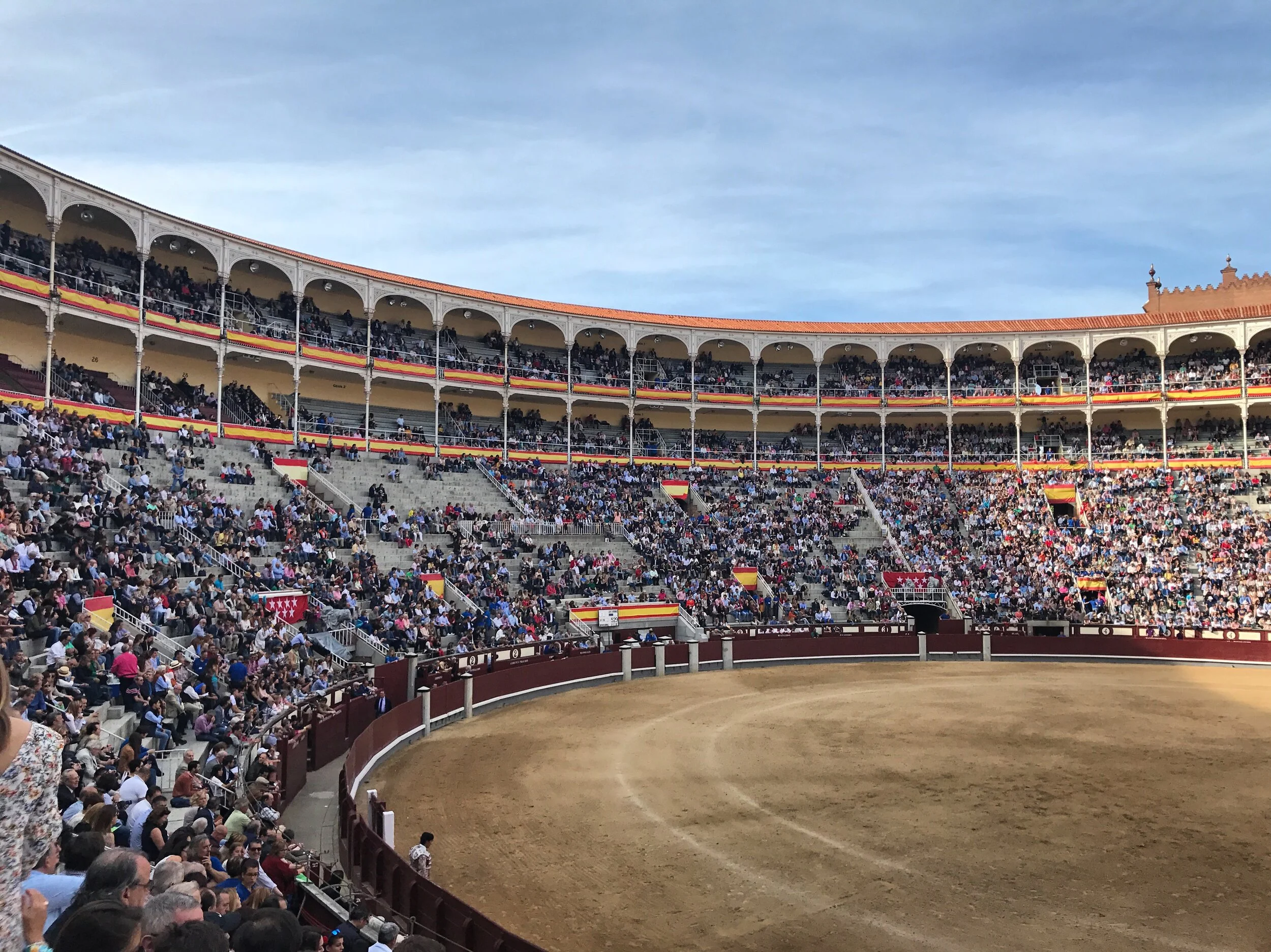Bull Fight!