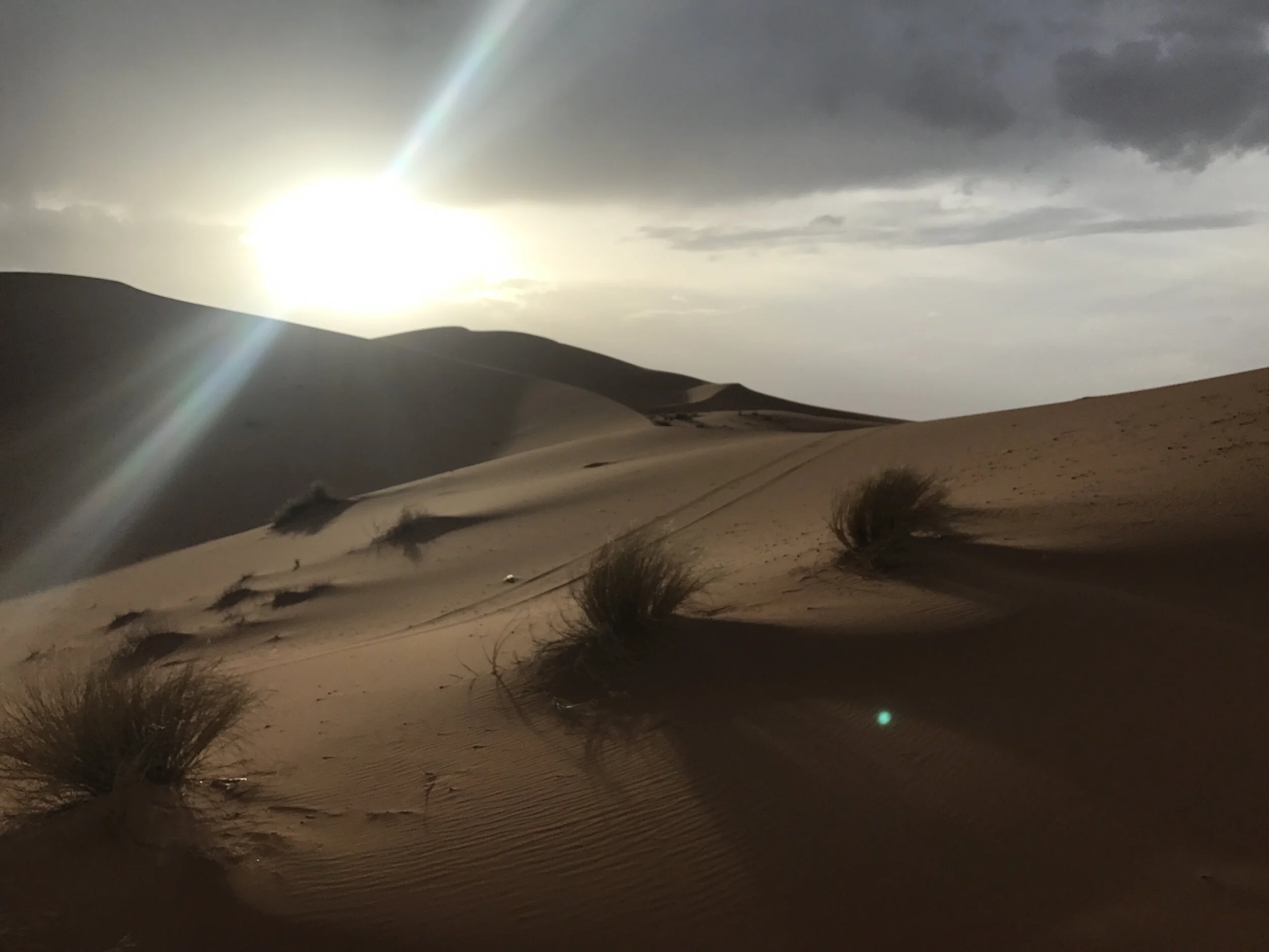 Sahara Desert