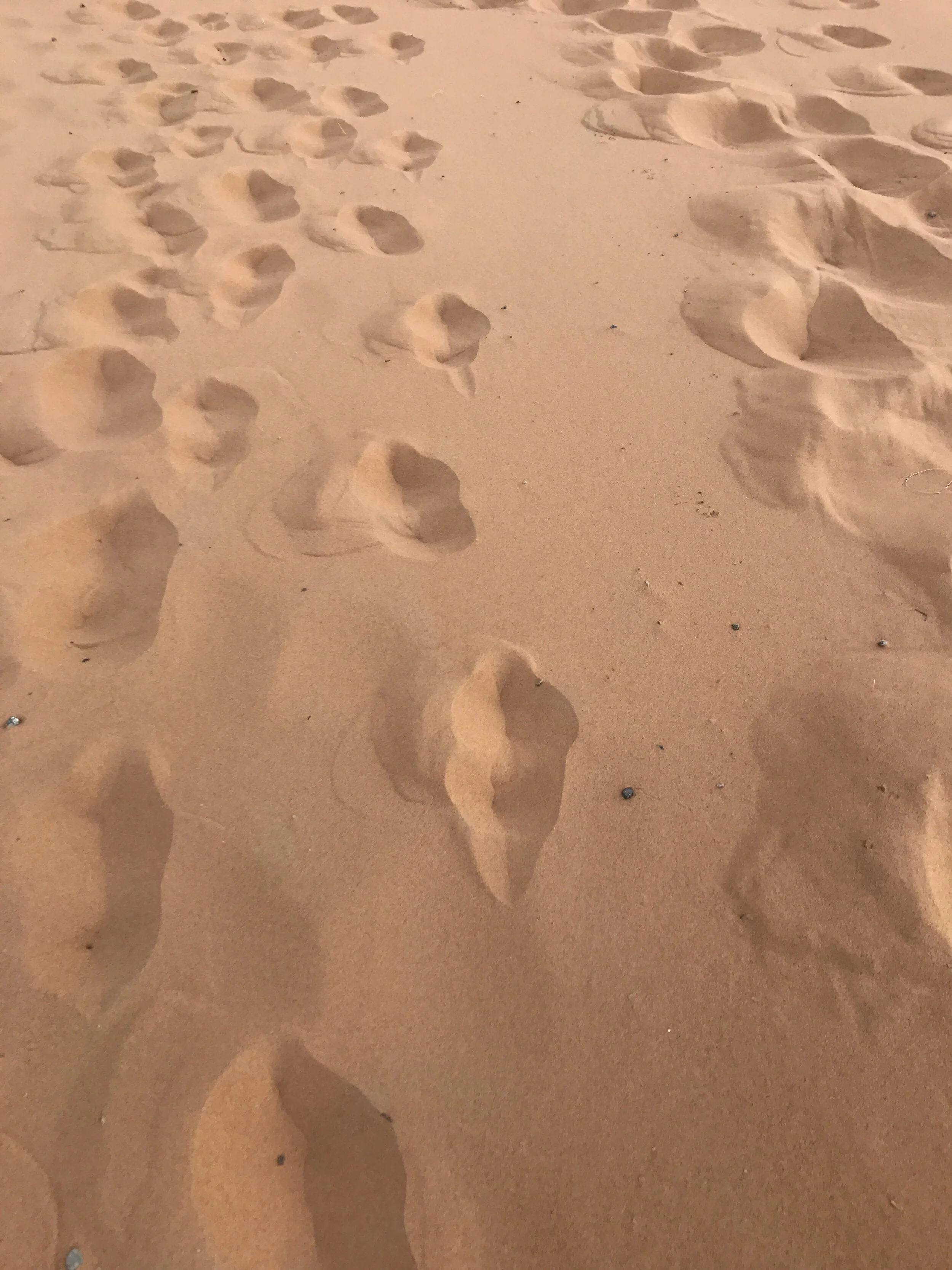 Footprints