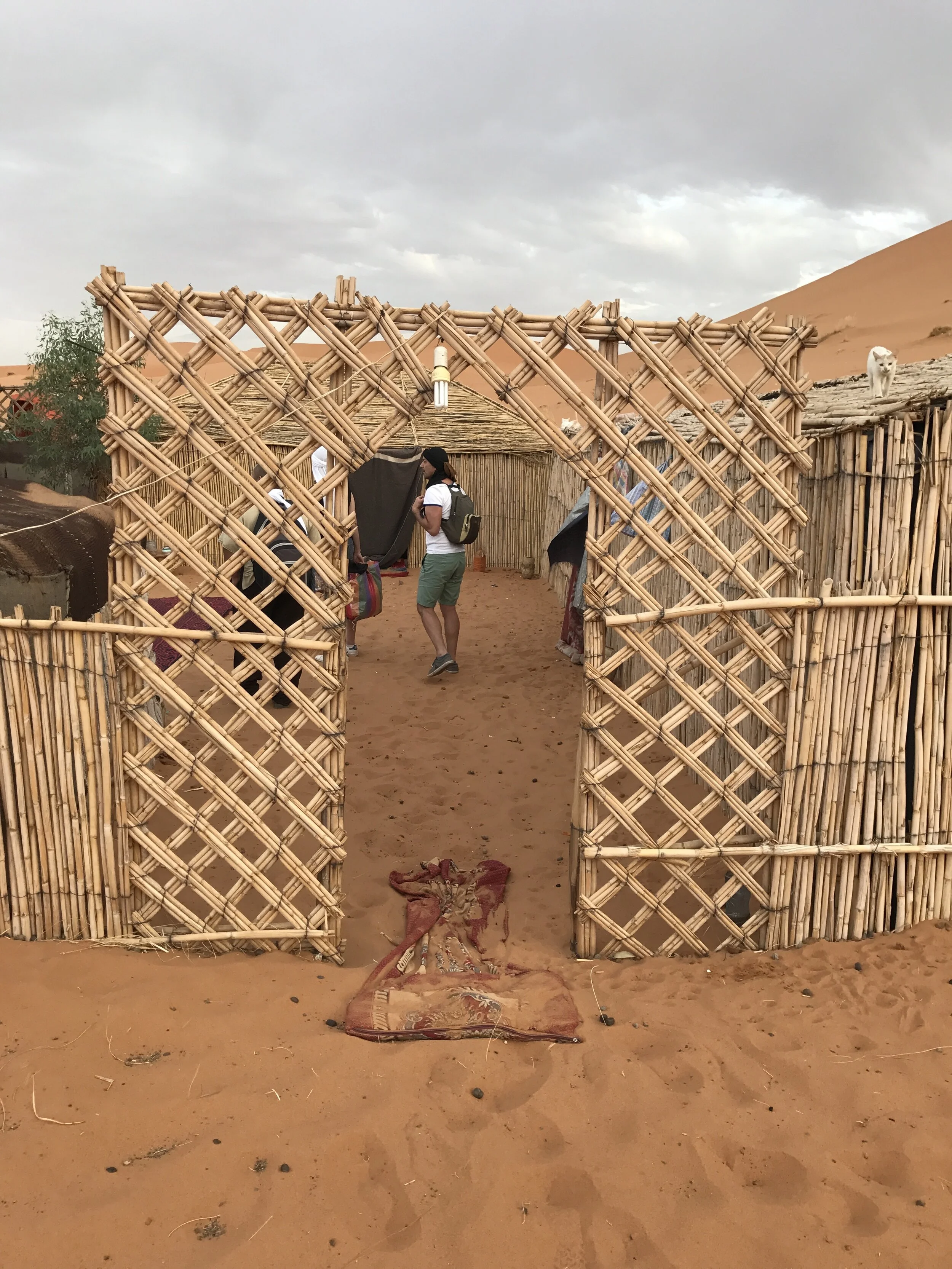 Home in the Desert