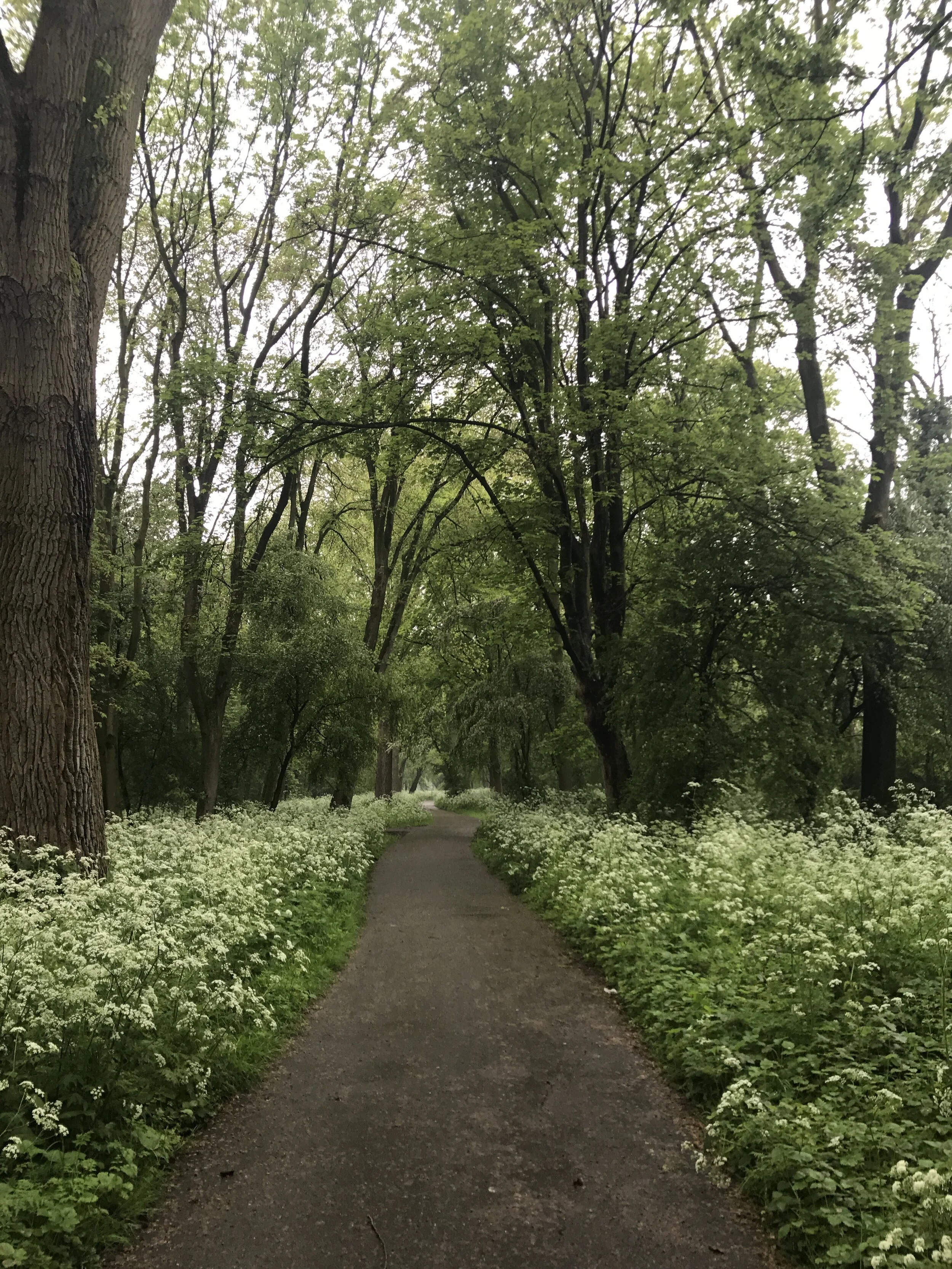 Local Parks