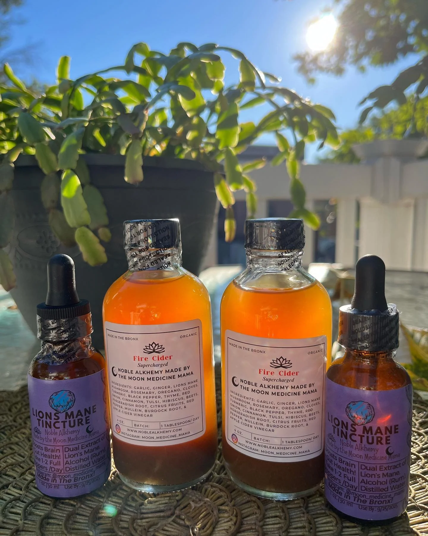 Stay ready so you don&rsquo;t have to get ready! ✨💪🏾‼️
Gift someone special 💝 (or yourself!) a wellness boost with 🔥Fire Cider, 🍄Mushroom tinctures, and 🌙Herbal tea blends. 🌿💜Shop our store at www.noblealkhemy.com.

#WellnessGifts #HerbalReme