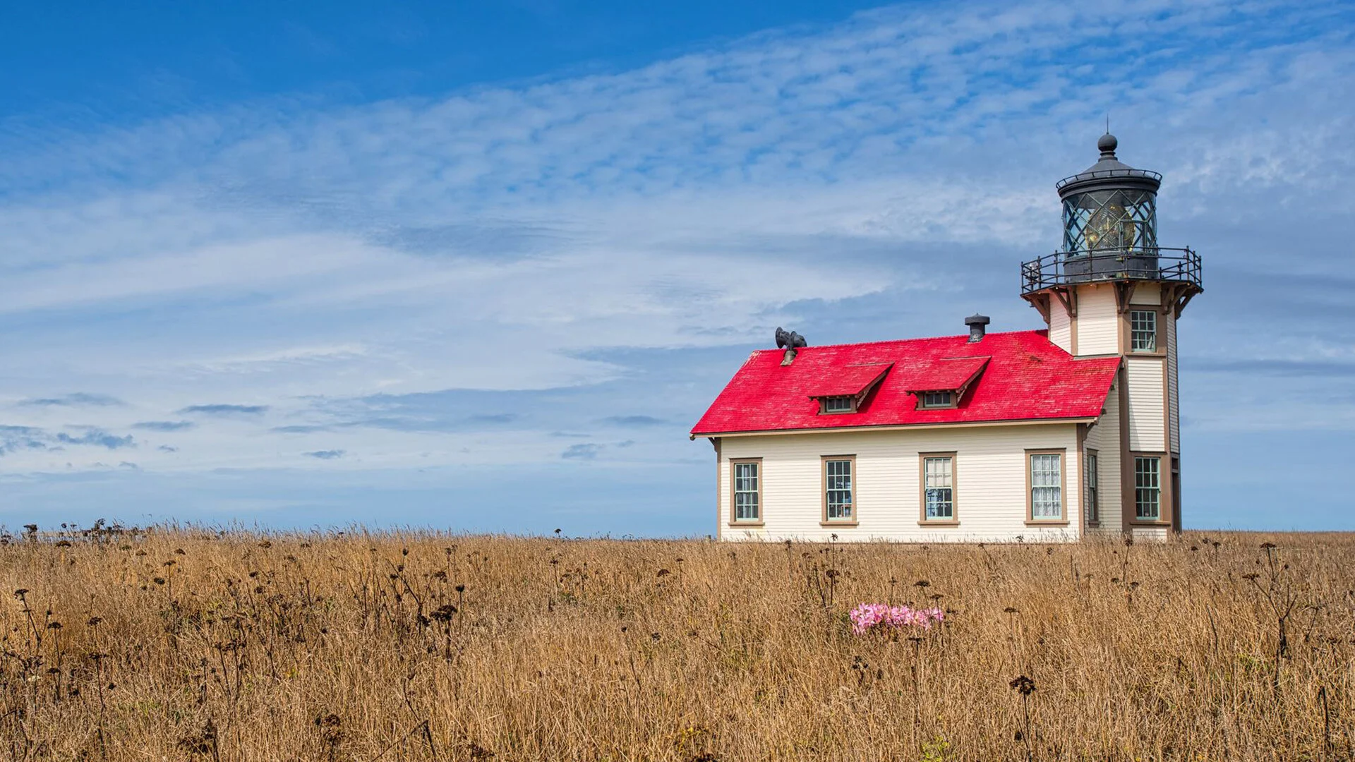 Caspar Beach RV Park and Campground offers newly remodeled facilities, a variety of amenities for your comfort and leisure, recreation at your fingertips, and much more.