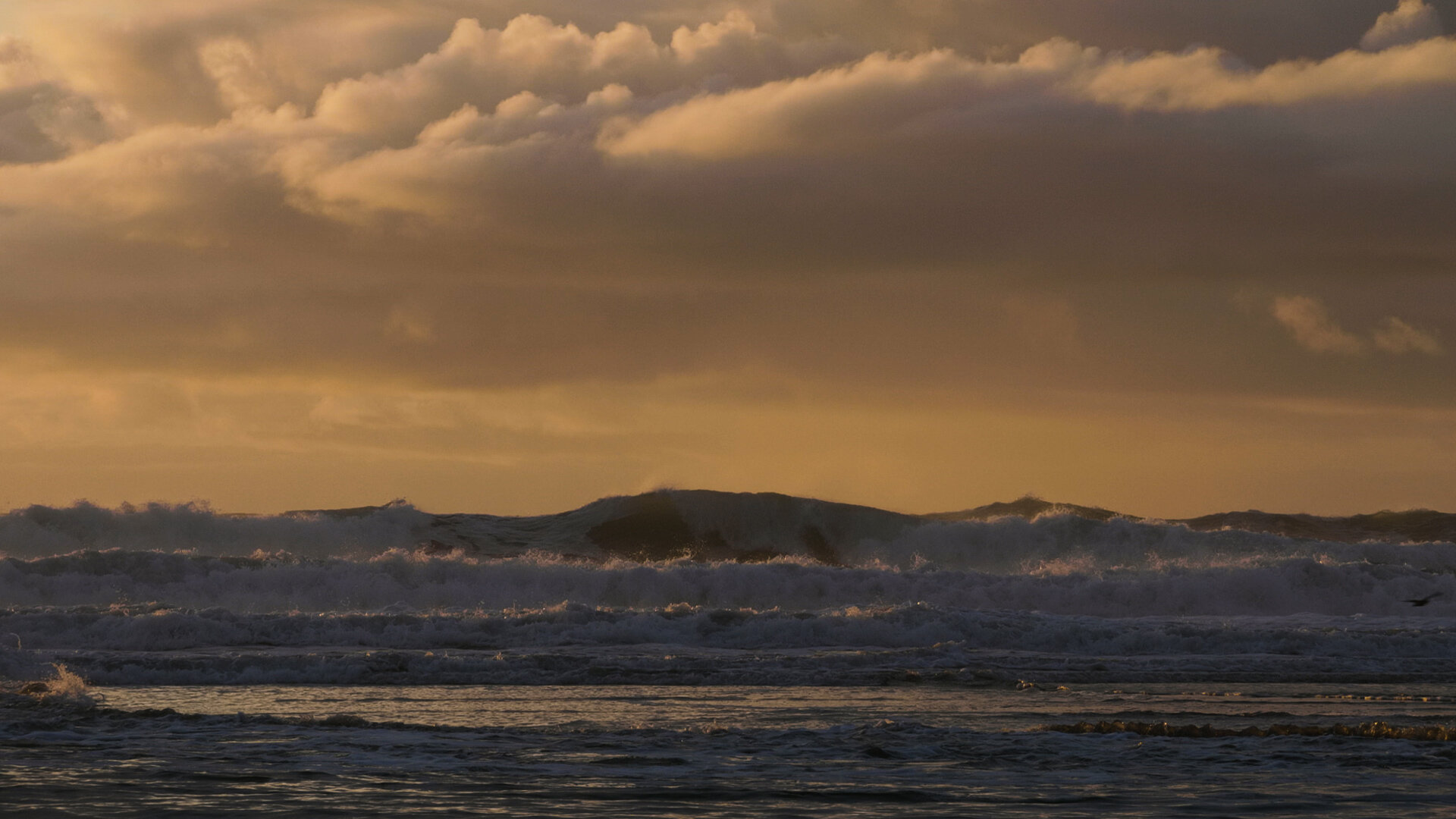 Cannon Beach_6.jpg