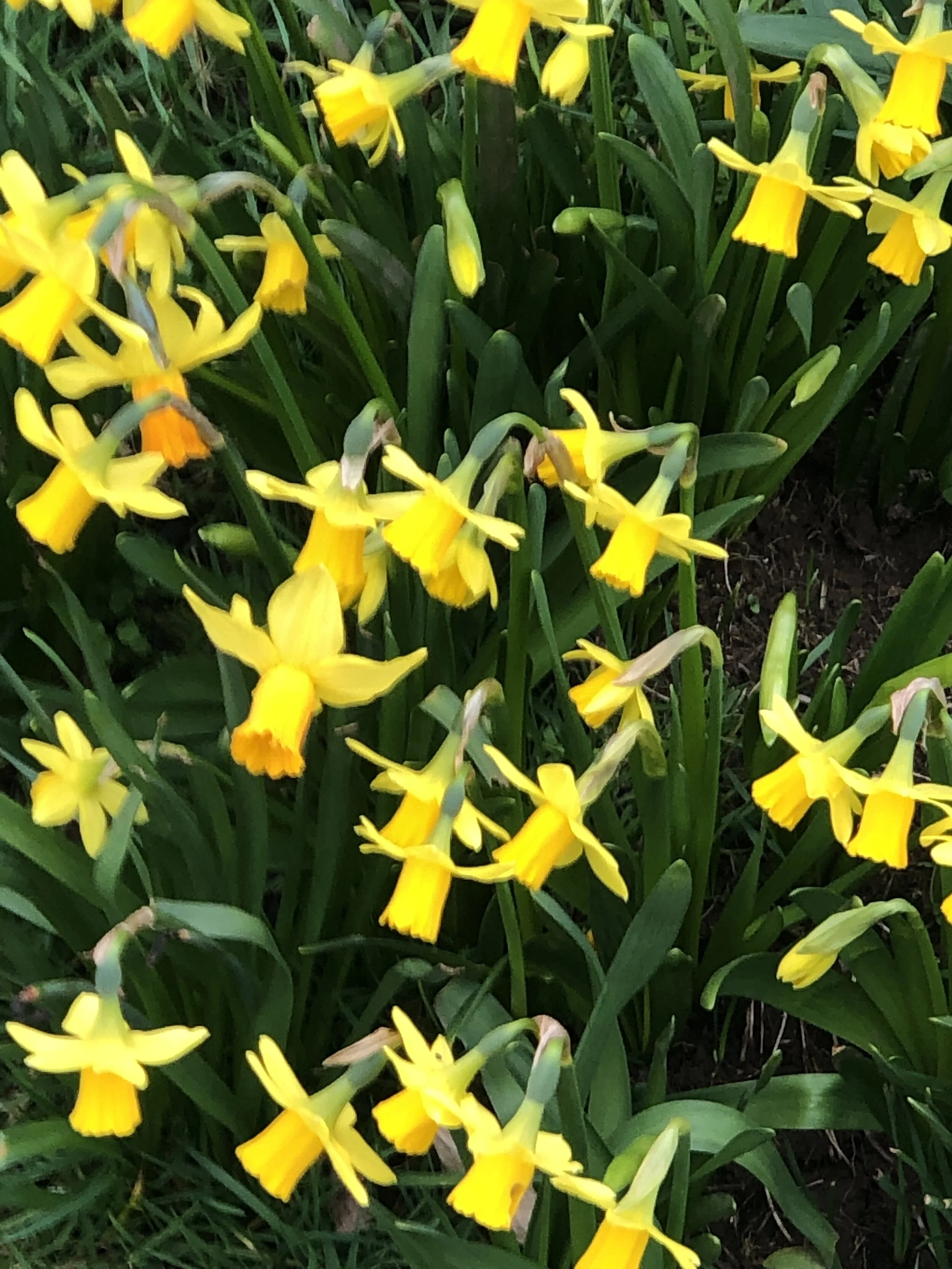 20190309_141353330_iOS.jpg
