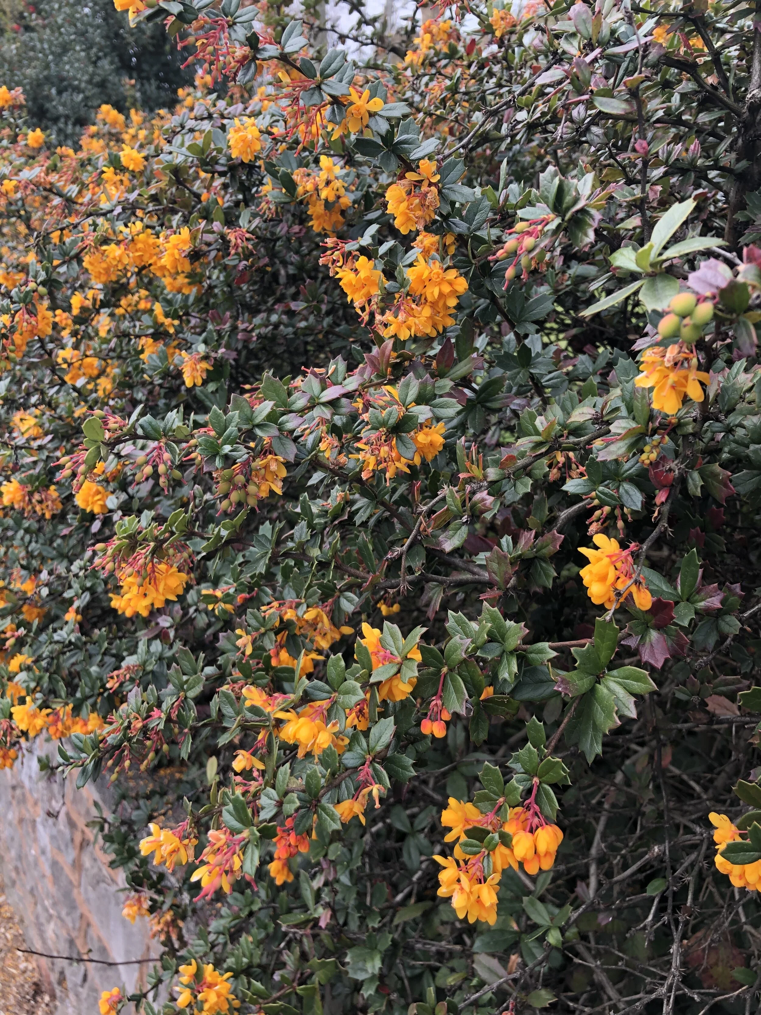 20190331_123246161_iOS.jpg