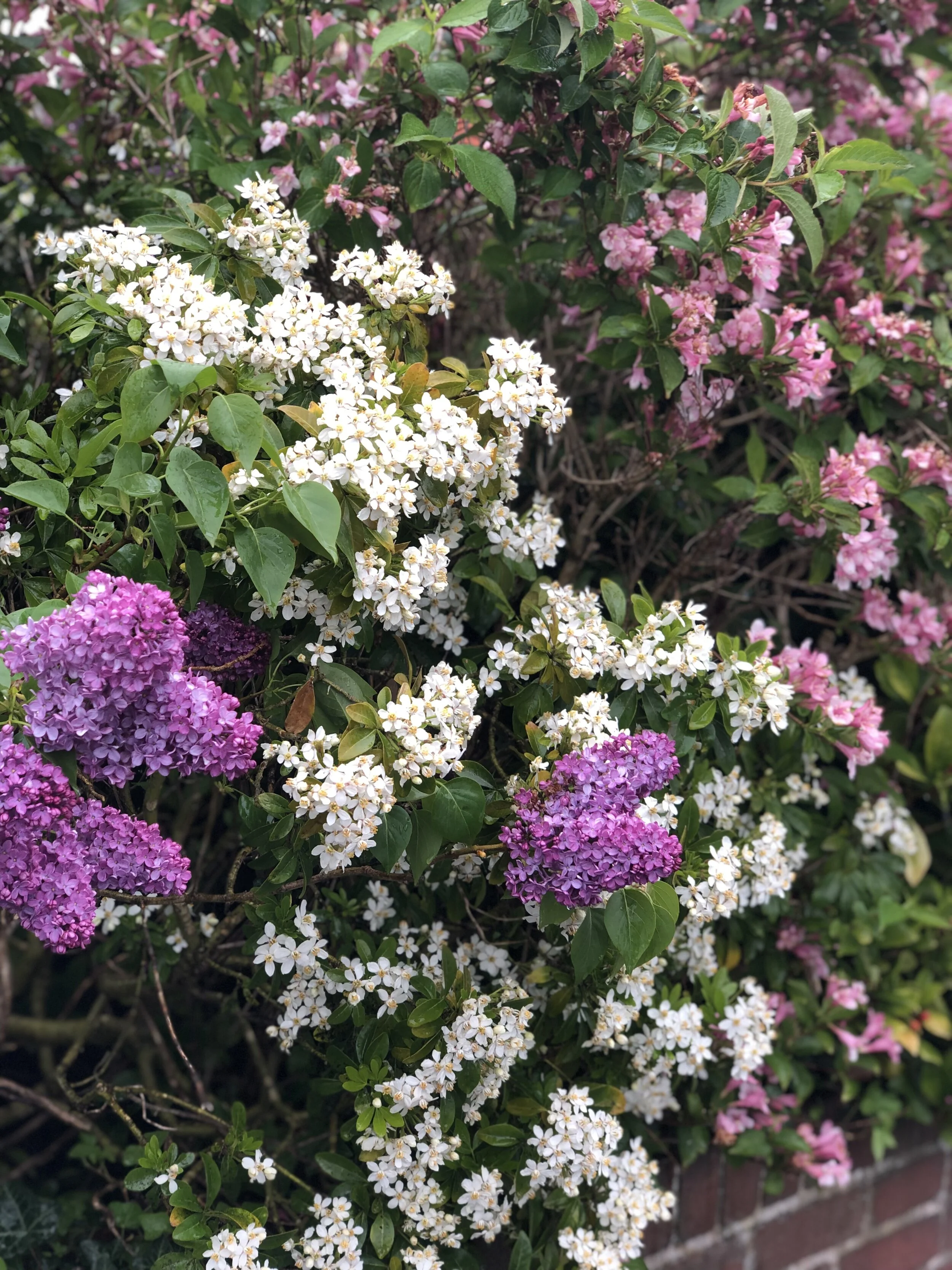 20190429_090017099_iOS.jpg