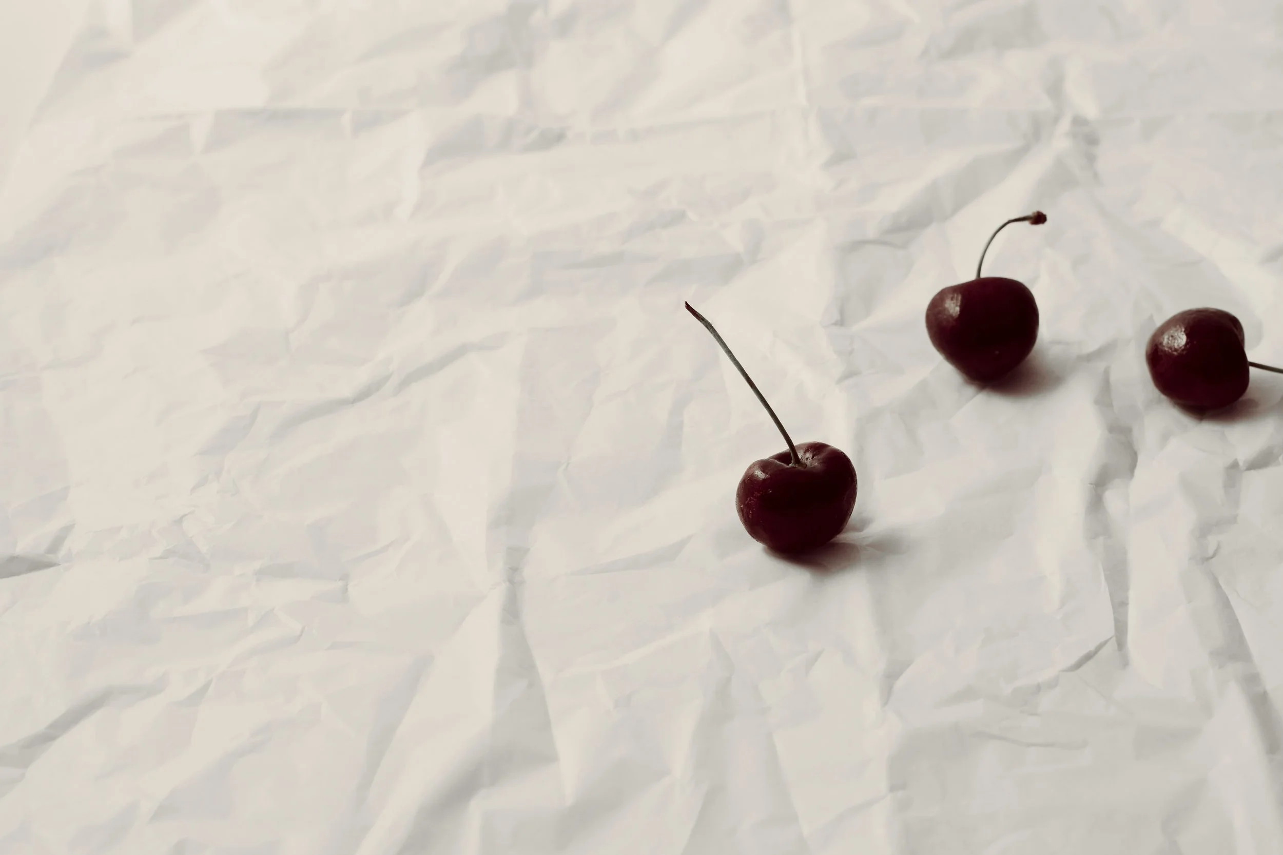 Goodmorning Wines, 2025