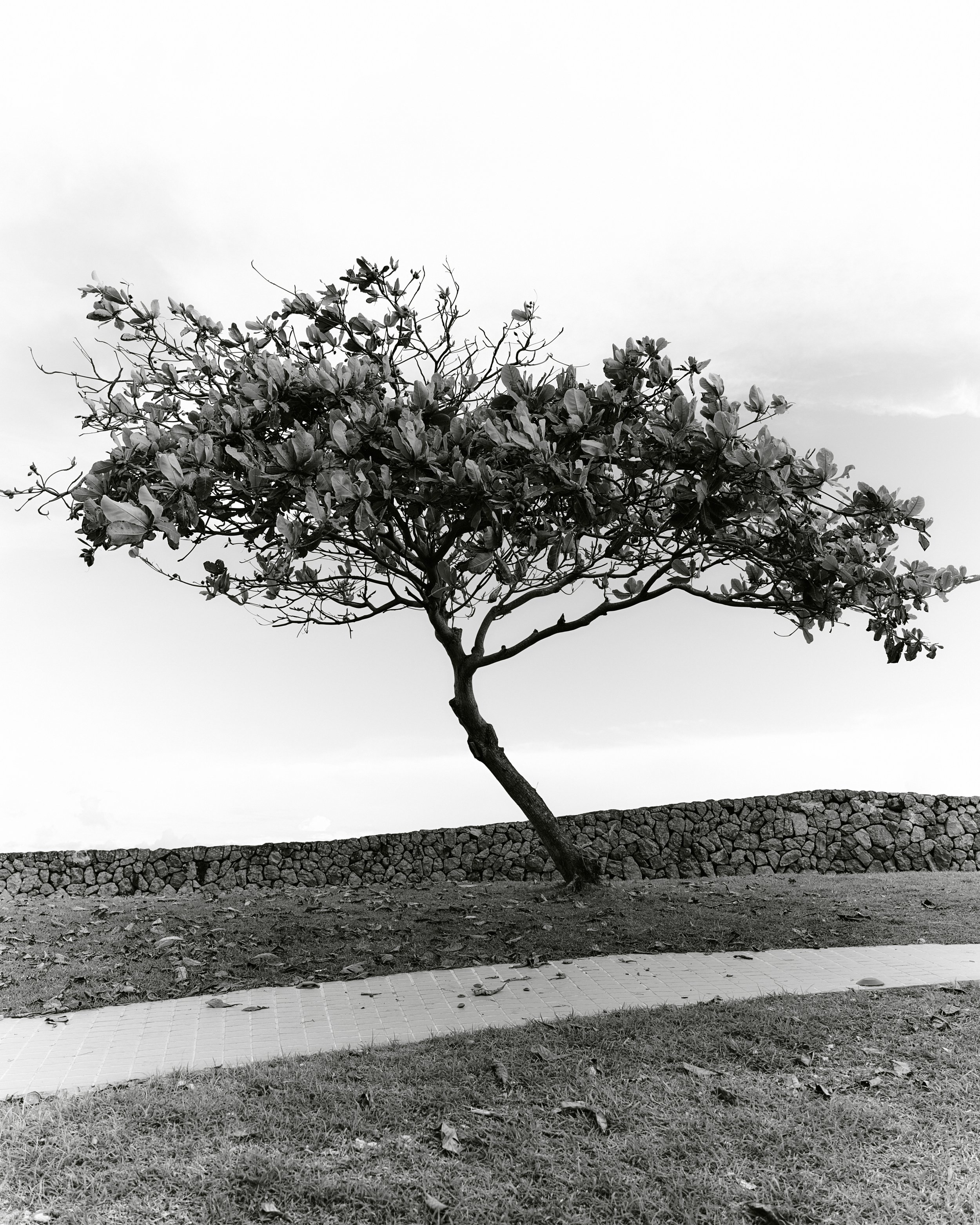 Quennie and Derek, 2025