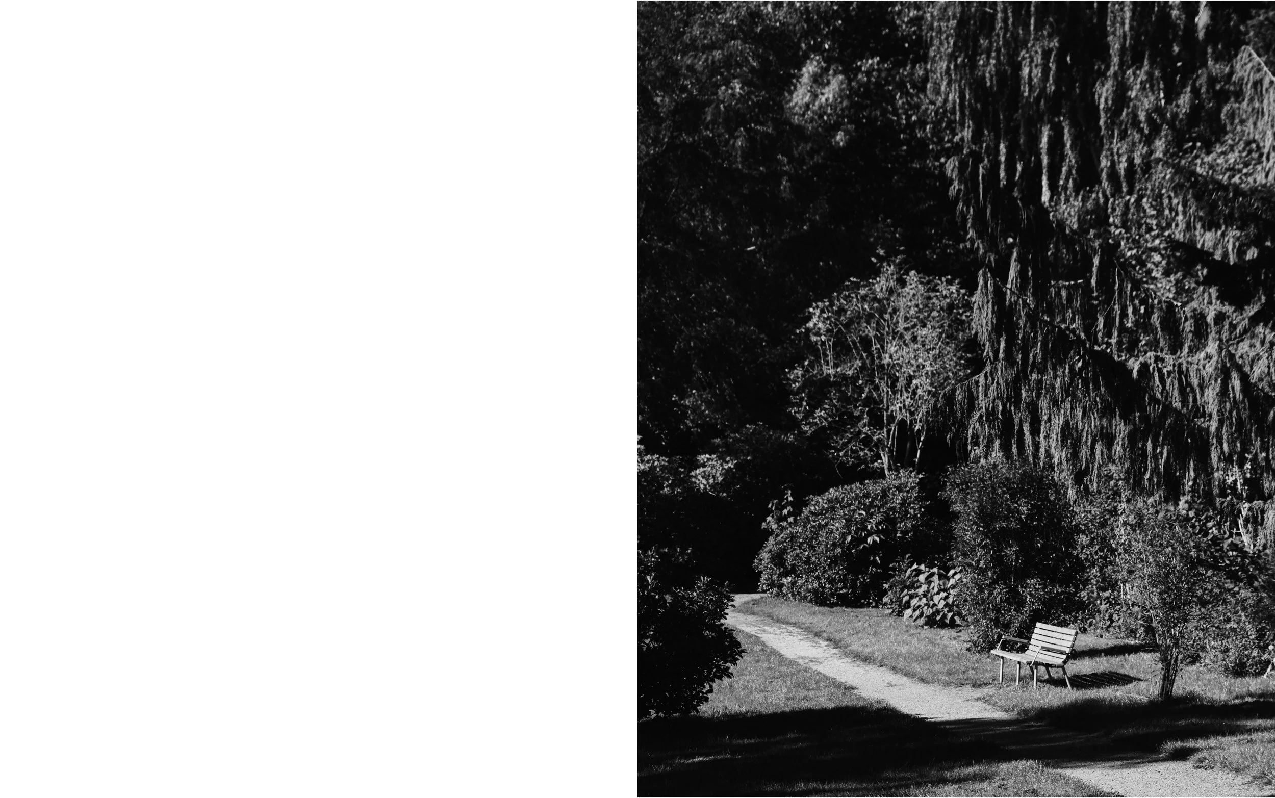 CD-ParArtboard 12.jpg