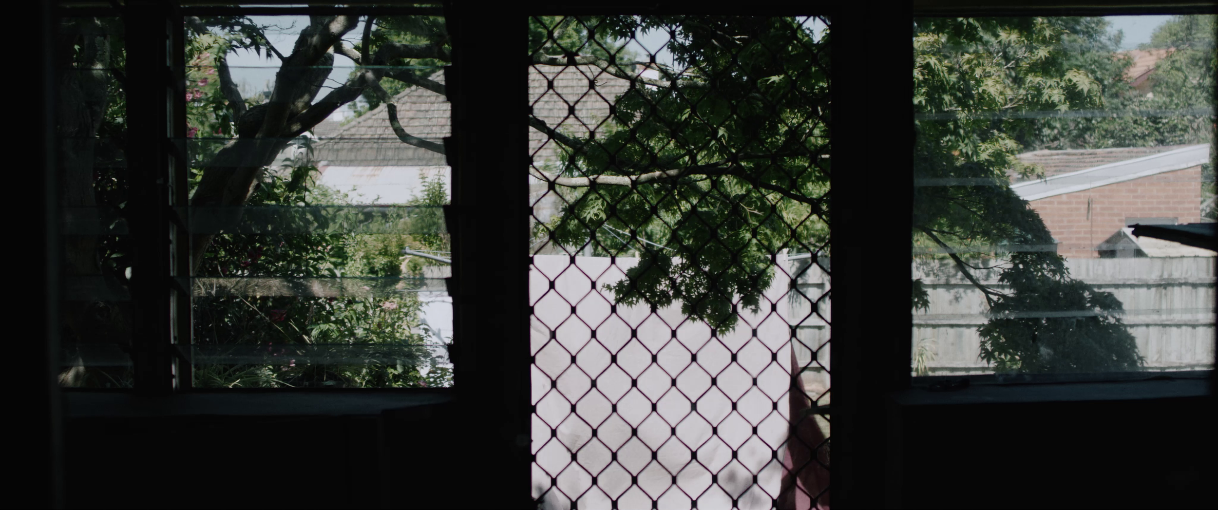 vlcsnap-2019-04-19-23h16m16s845.png