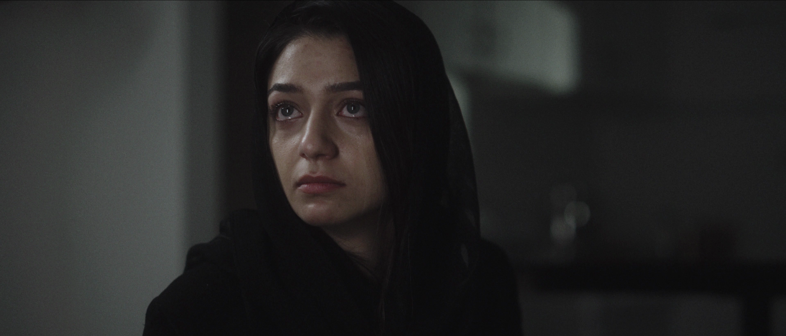 2019 - The Fall - 2.png