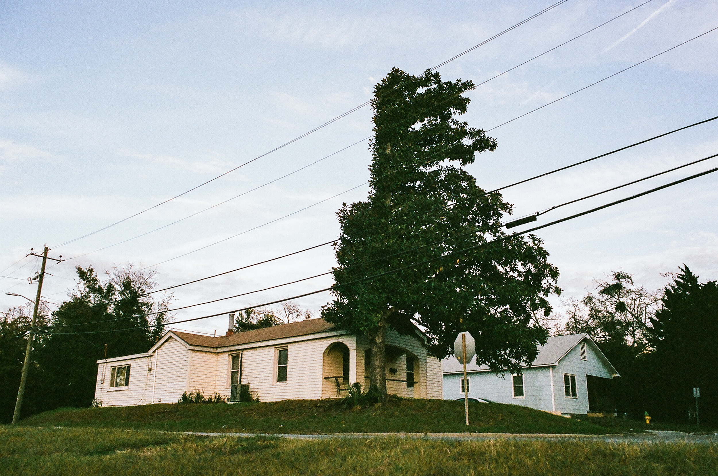 A photo of a house up on a hill, with a large tree that is completely flat on one side after being cut to allow for the many power lines.