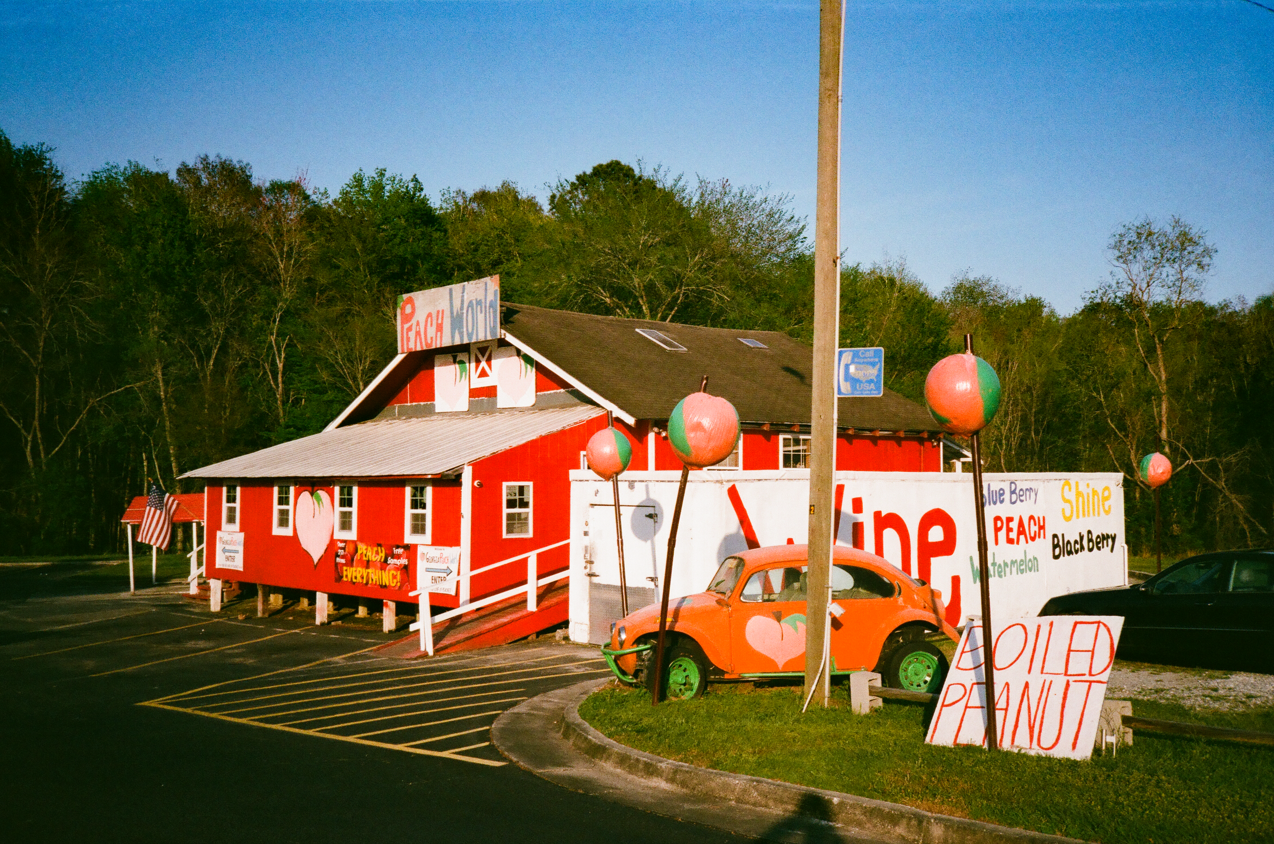 Peach World in Georgia, showing the giant peach paper mache sculptures and the signs for moonshine, peaches, and boiled peanut.
