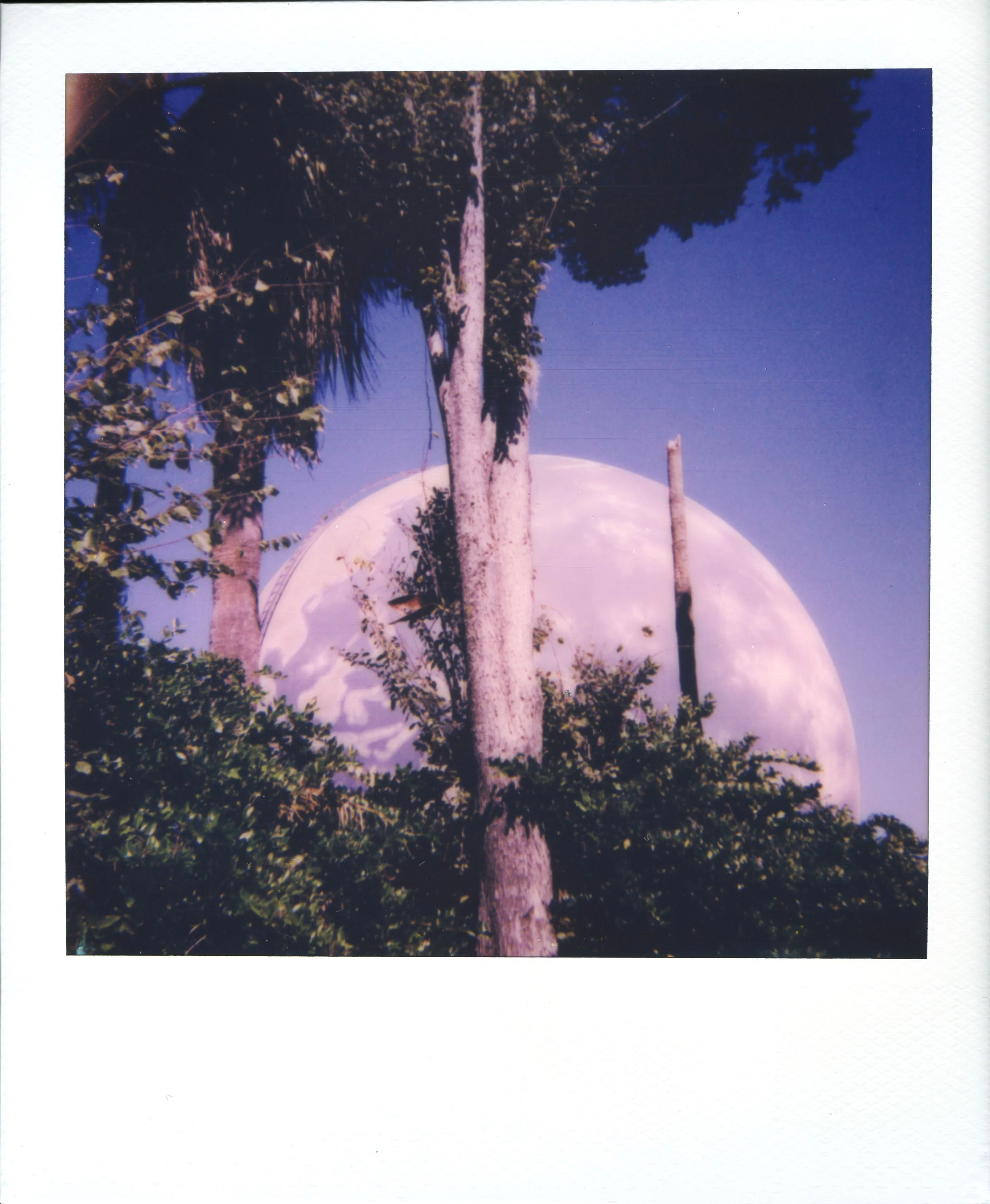 new-house047.jpg
