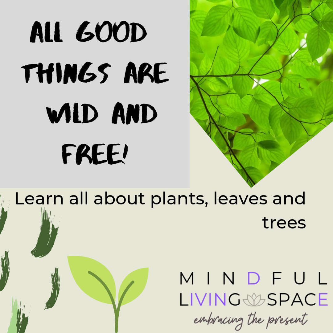 All good things are wild and free! Learn about plants, leaves and trees.