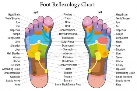 What is Reflexology? Free information session and morning tea Sunday October 20, 11:00 am.