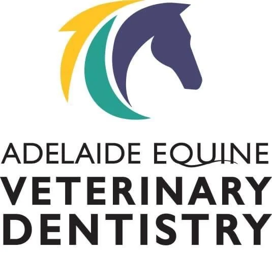 The Team — Pottery Road