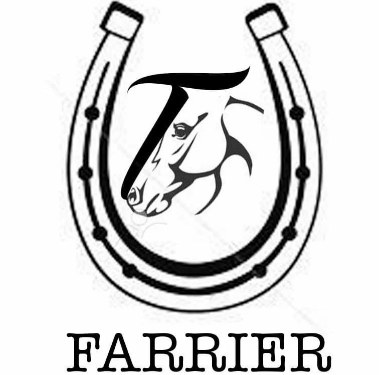 The Team — Pottery Road