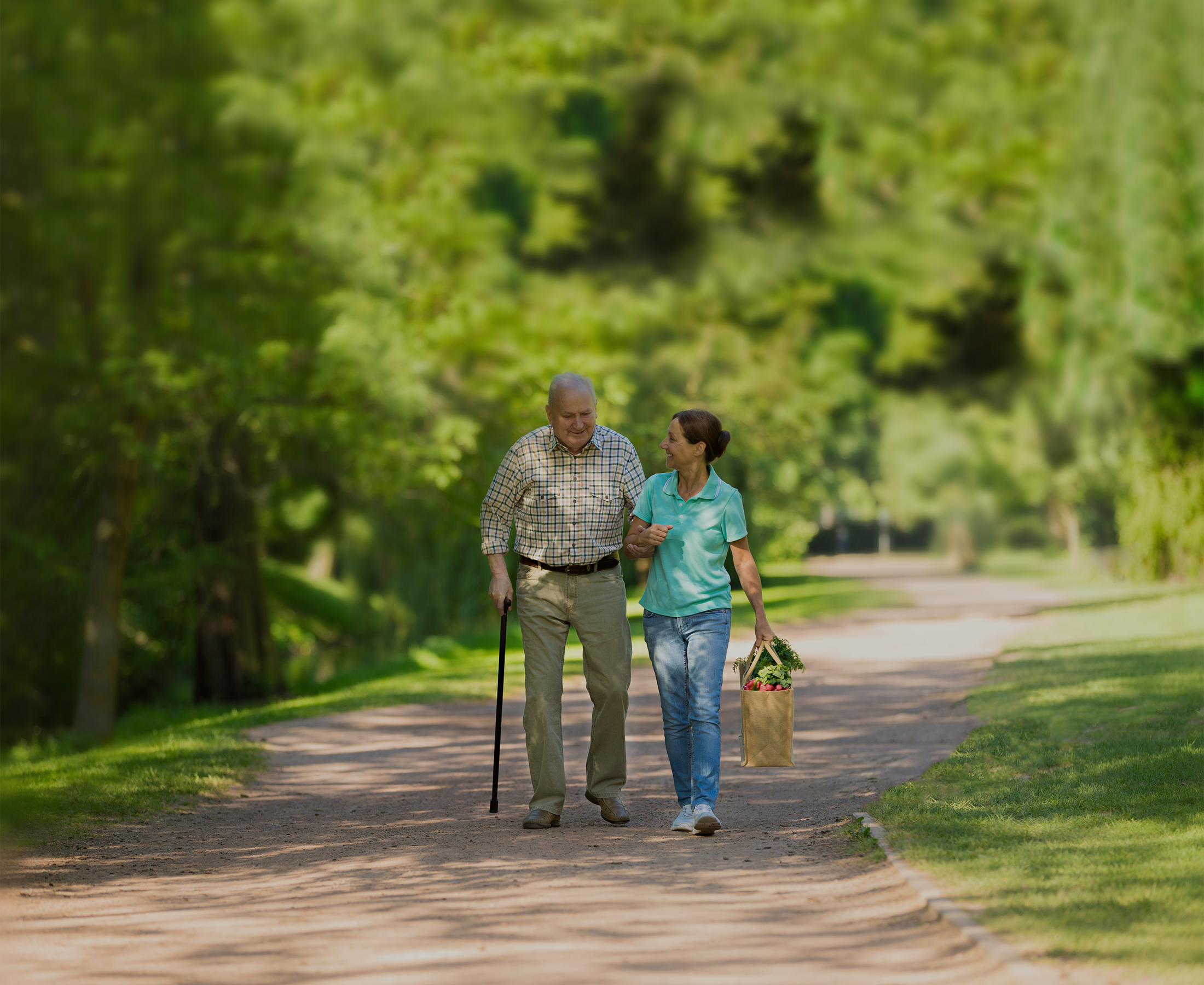 THCV_Website_Header Image_1.png