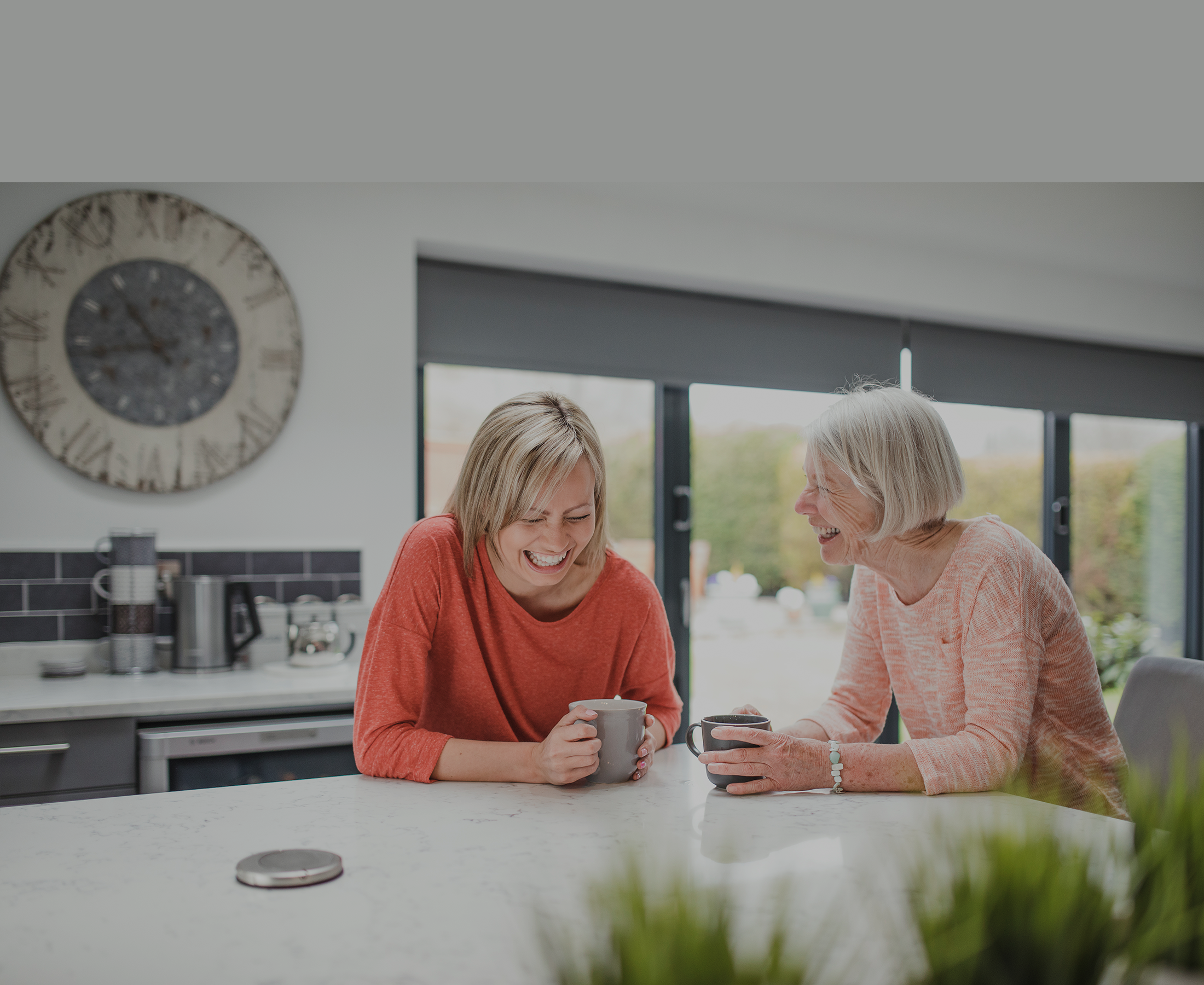 THCV_Website_Header Image_7.png