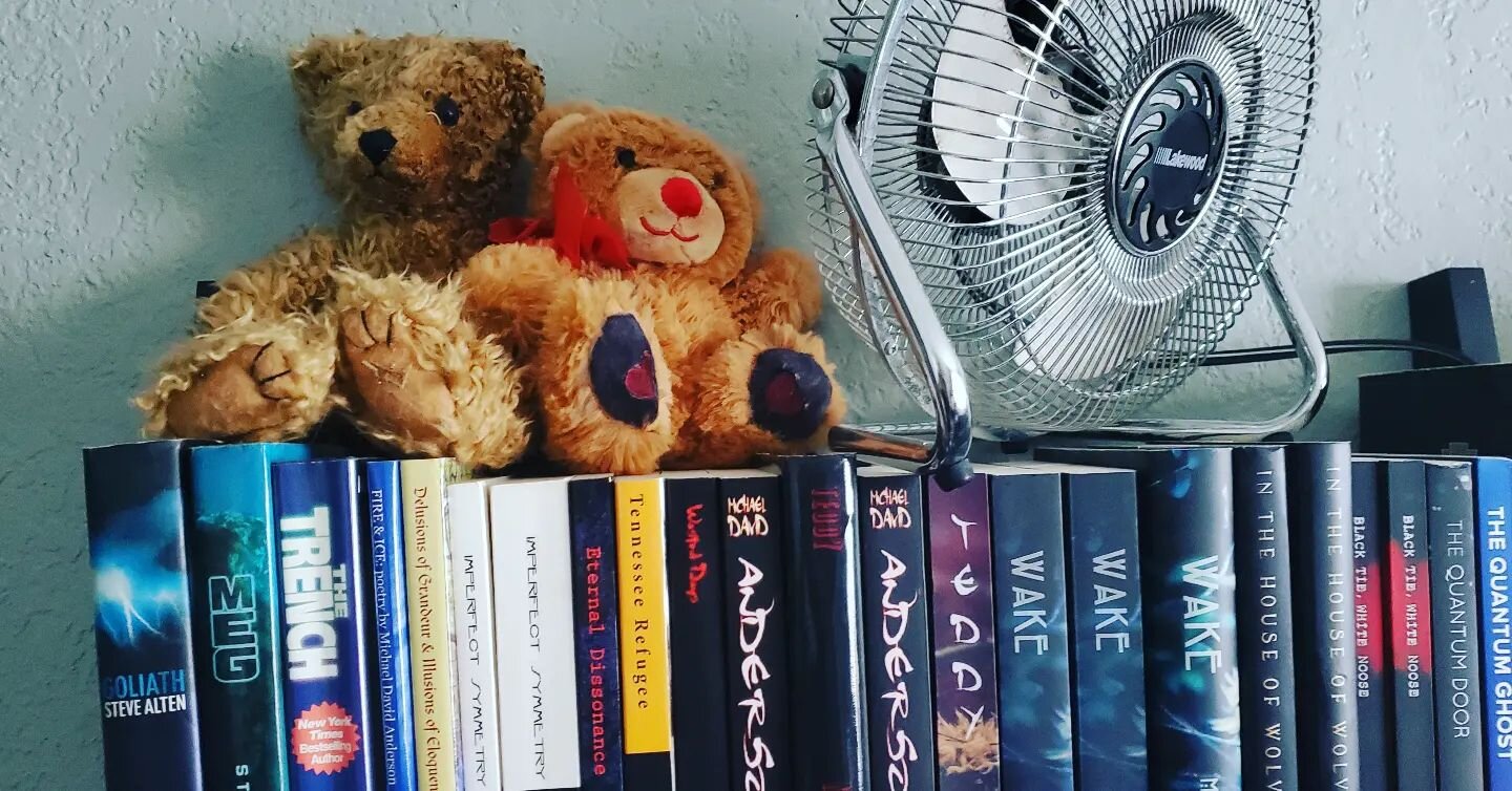 Oh, look. I found the #teddybears from the #Teddy and #Wake #duology. #TheDamnationSaga #horror #suspensethriller #novelist #bookstagram #bookcover #authorsofinstagram #authorslife #authorsofig #wakeupteddy