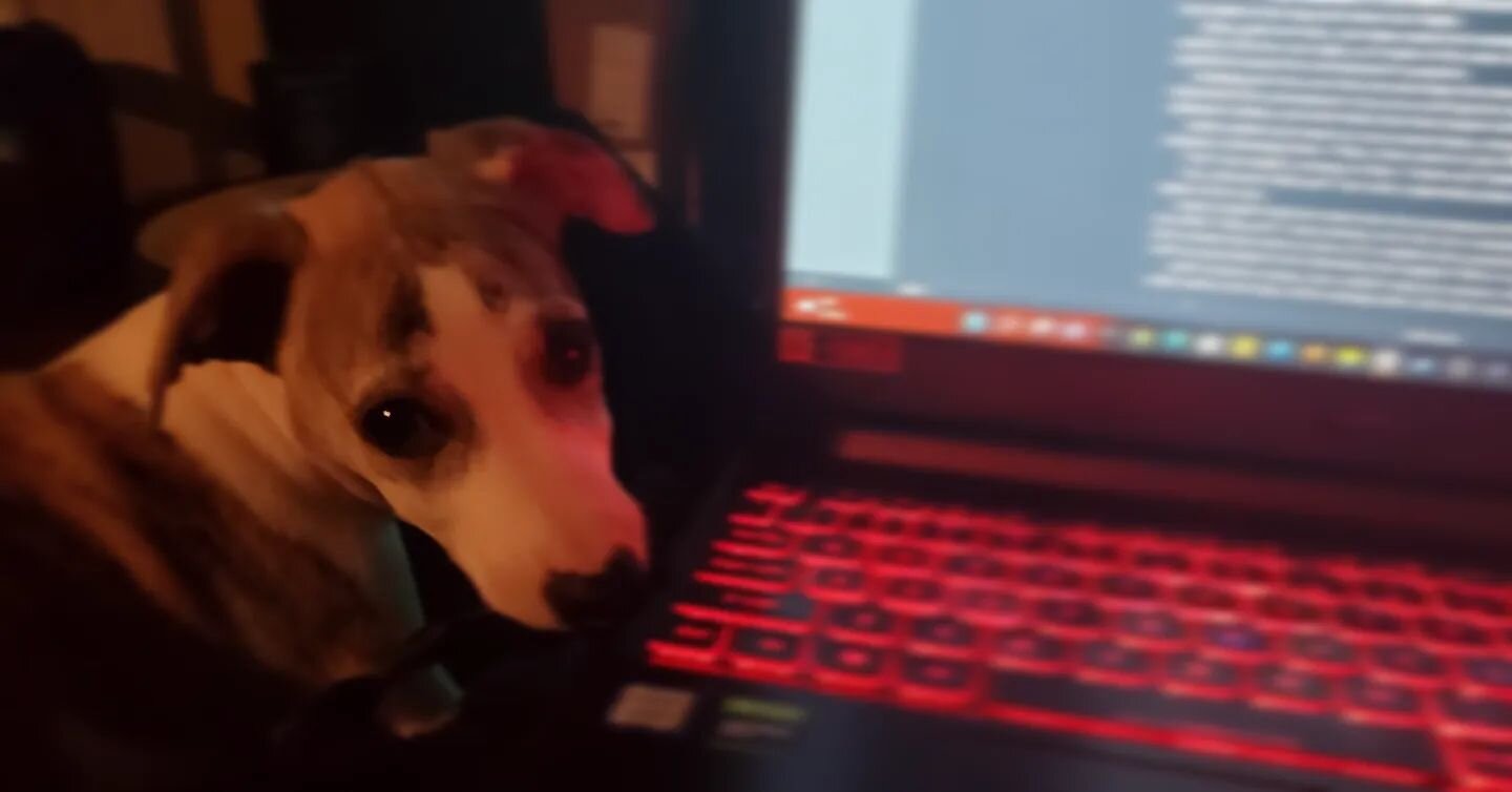 My #whippet #puppy Flynn insists on being involved (via chewing on my computer and my USB cable) while I return to work on my new #shortstory, aptly named #Puppy. For those aware of my #hardwarefailure, I found some - not all - of my docs backed up o