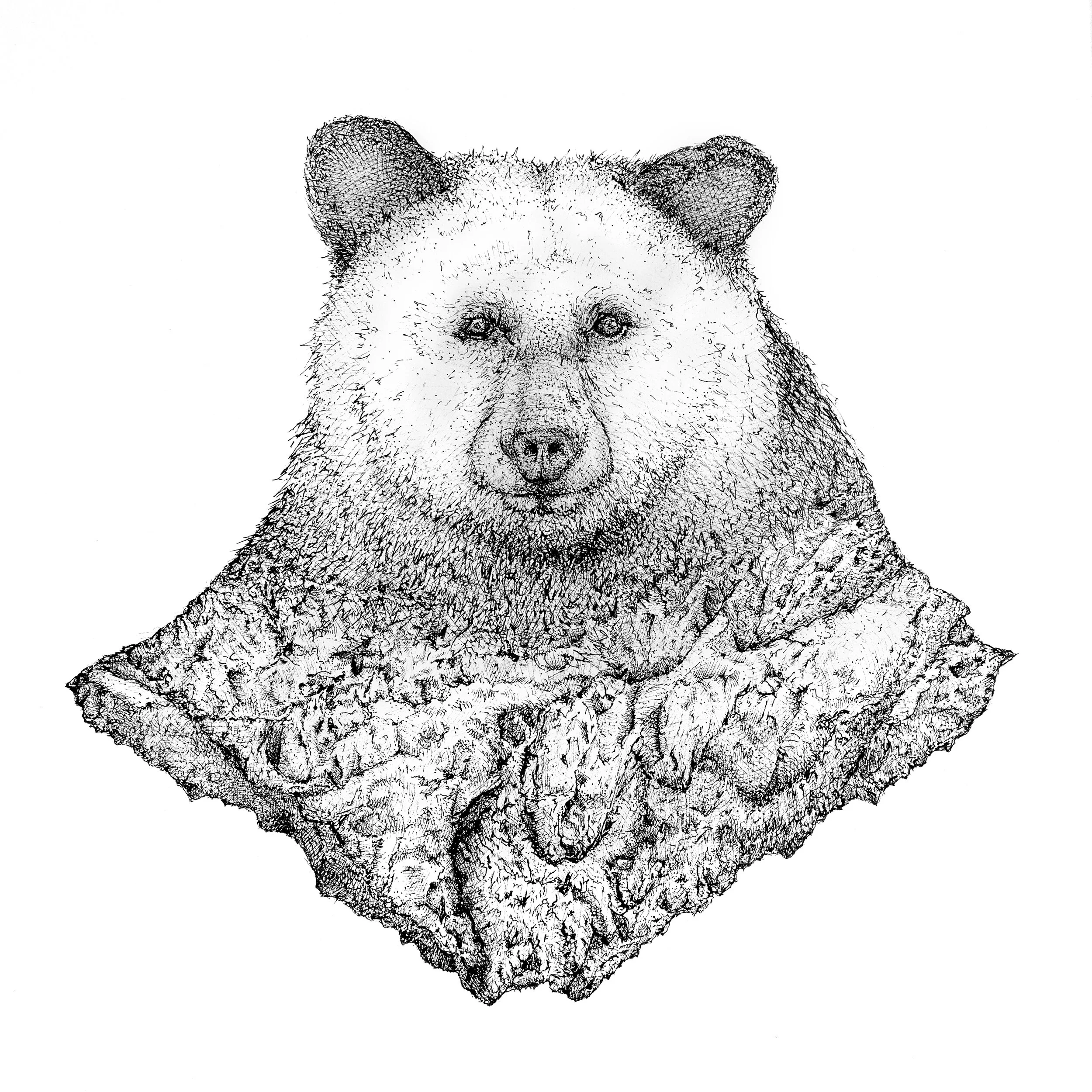 BearMtn_ToPrint.jpg