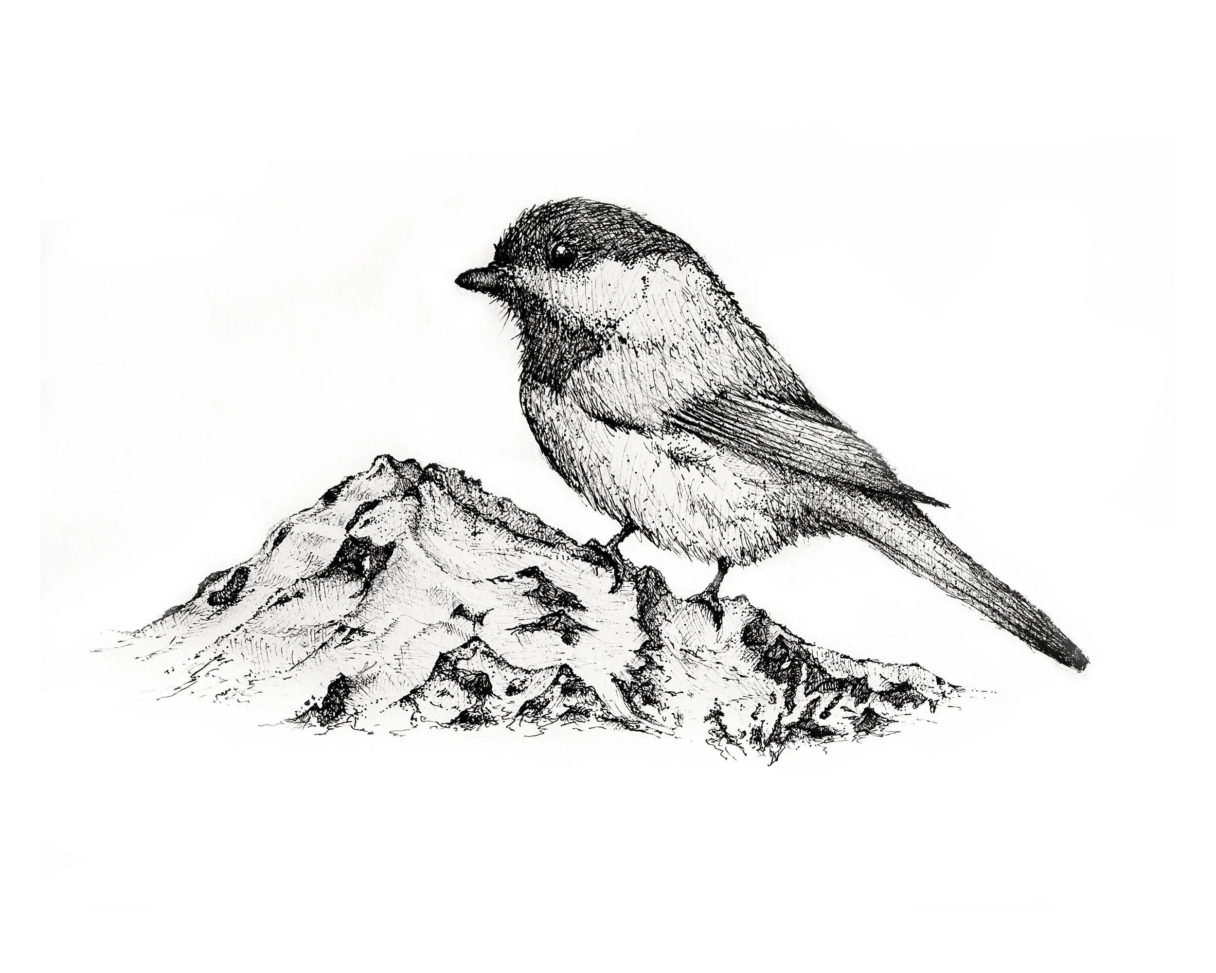 BirdMtn_8x10.jpg