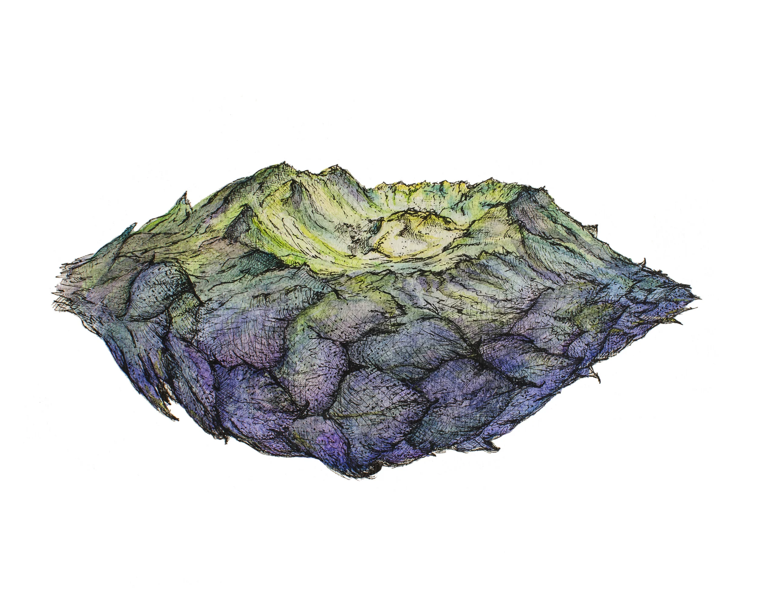 Mt. St. Hops
