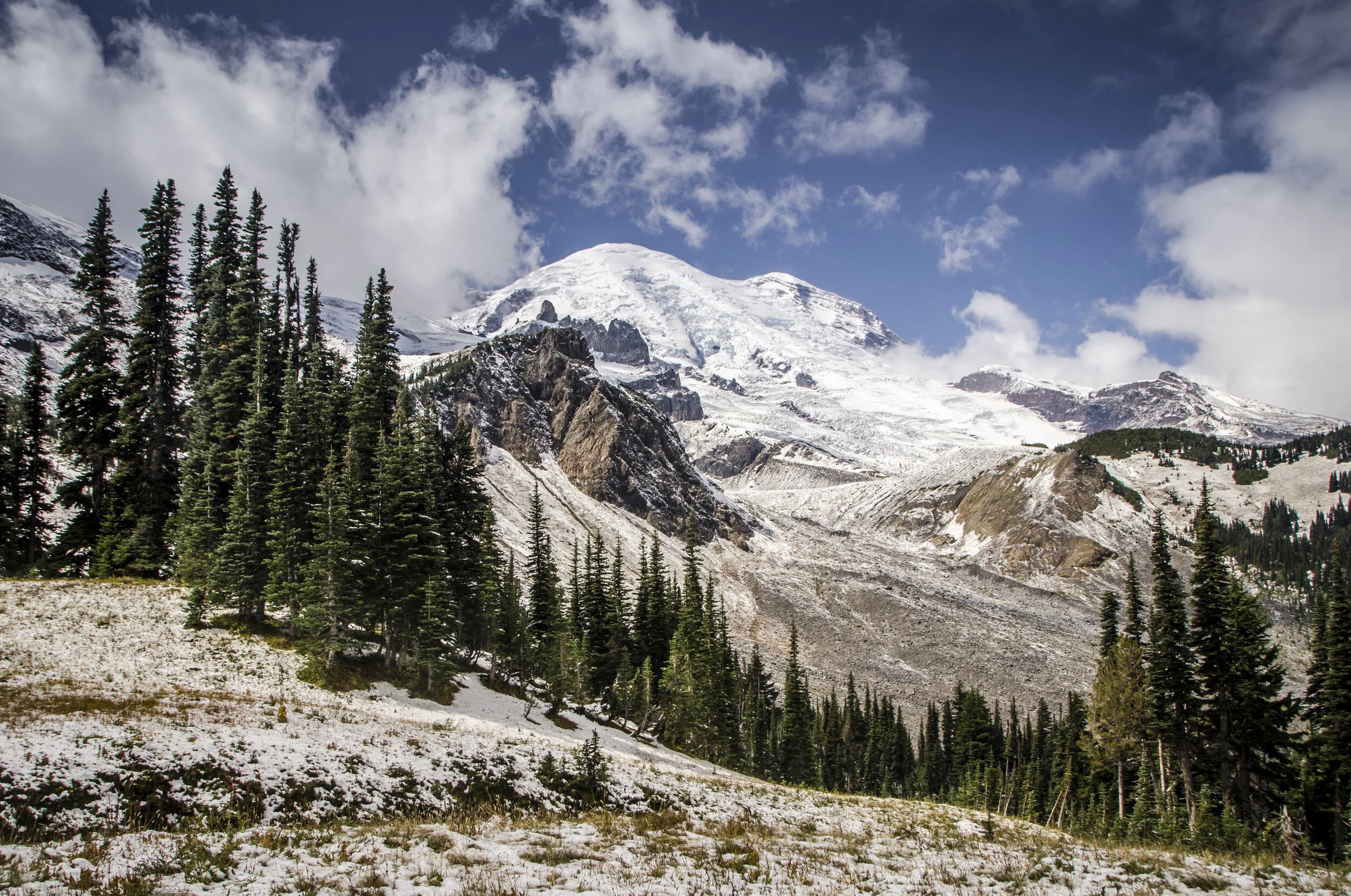 Rainier-10 copy.jpg