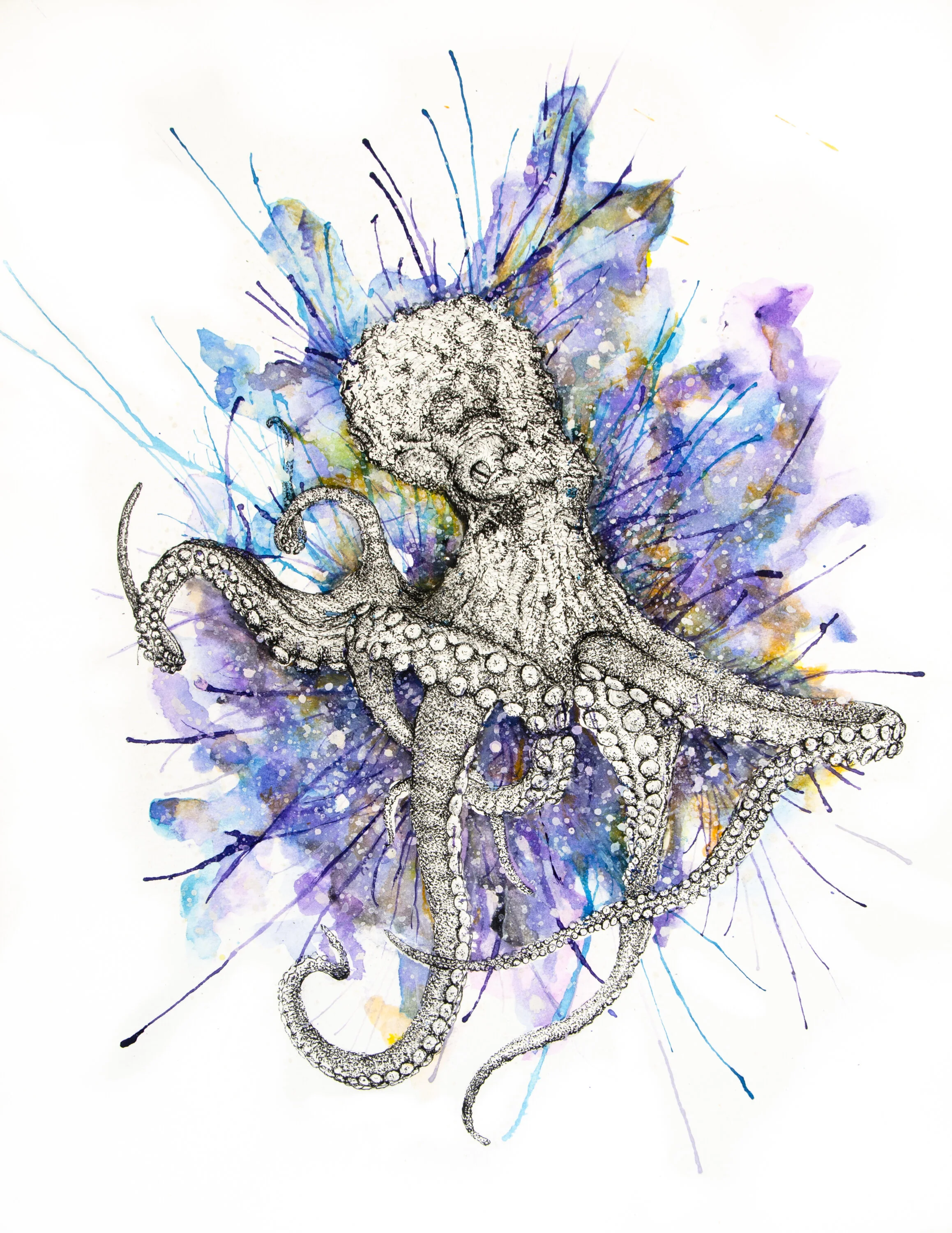 Octopus-Color-1.jpg