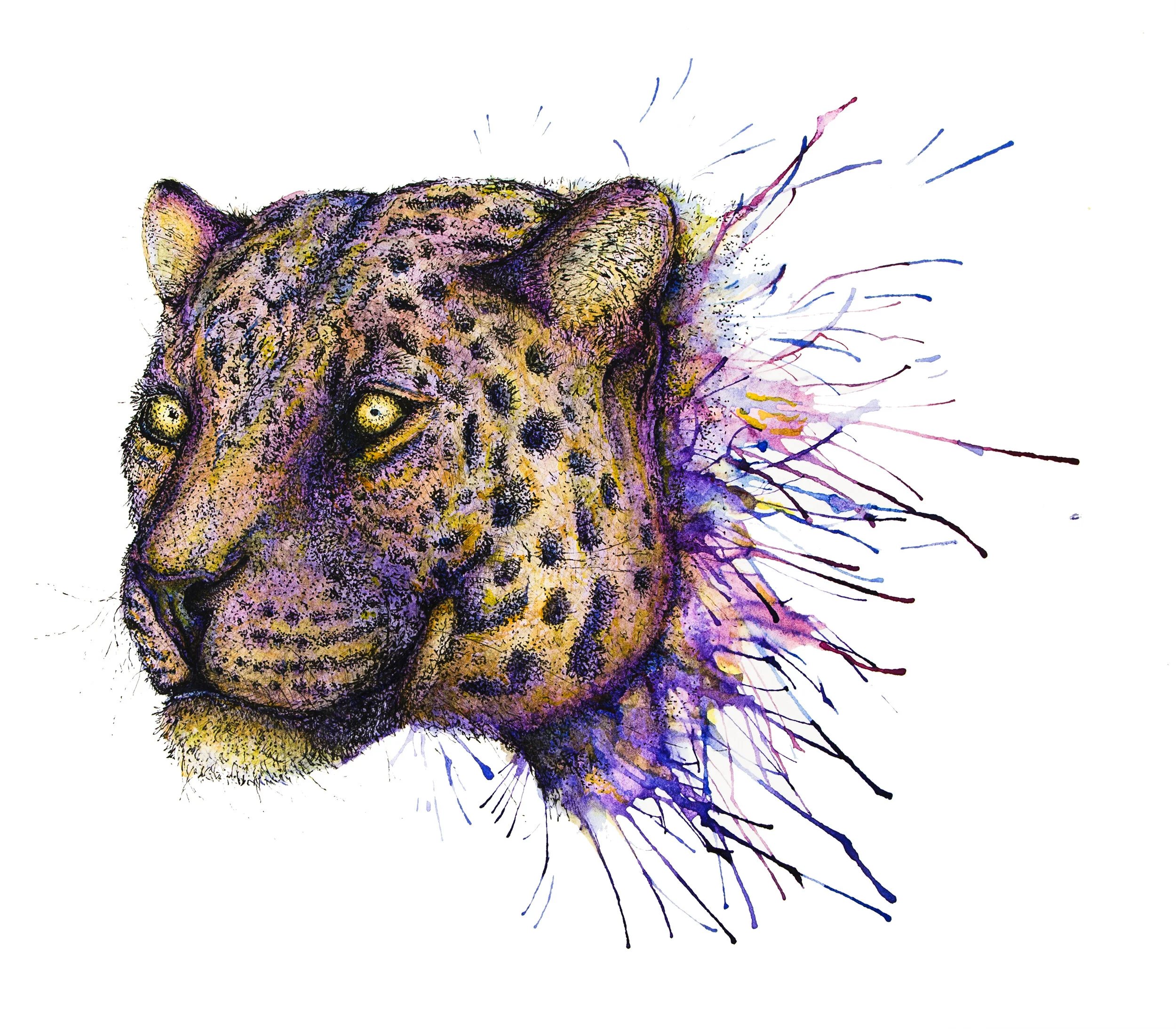 Jaguar.jpg