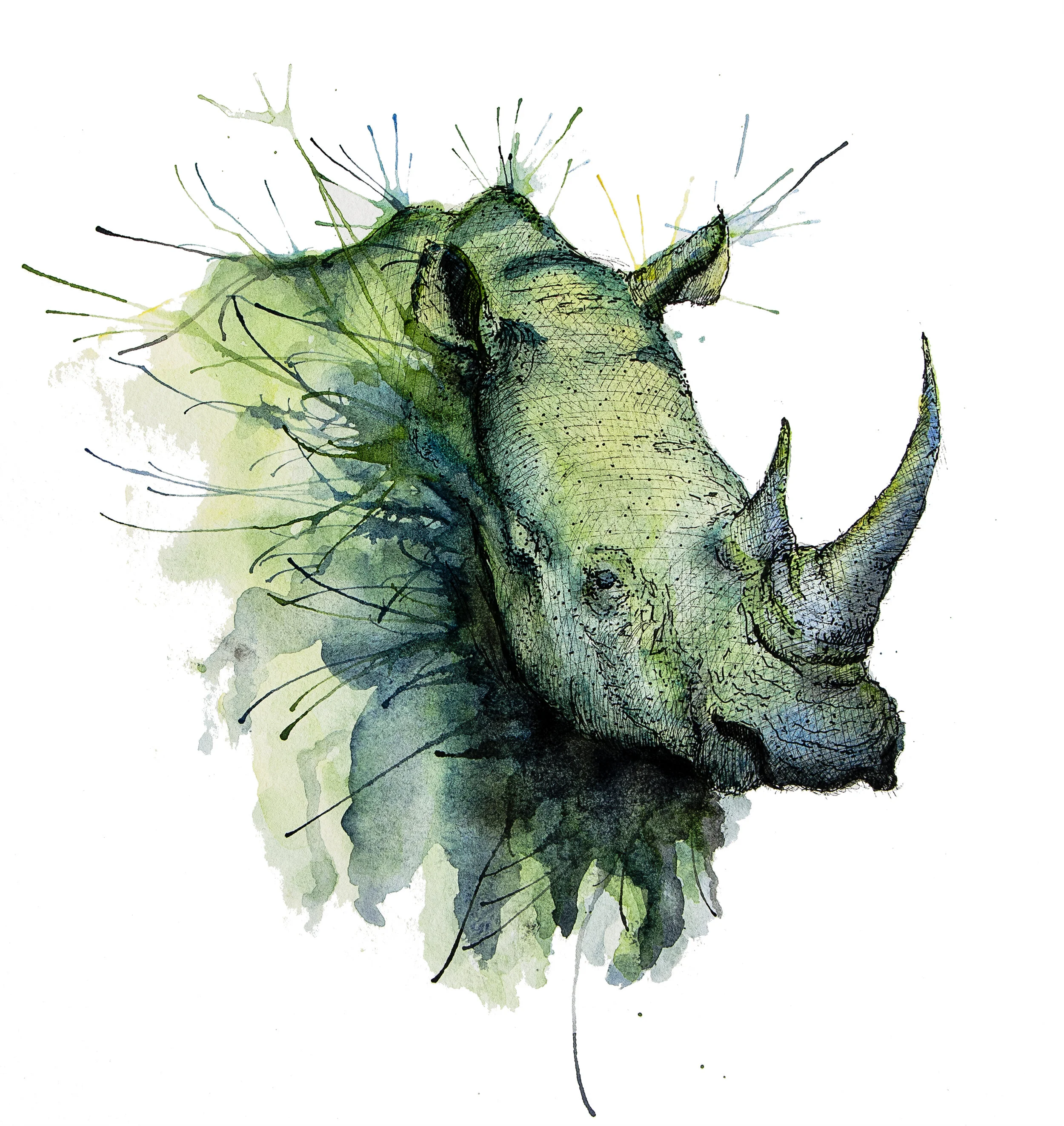 Rhino-1.jpg