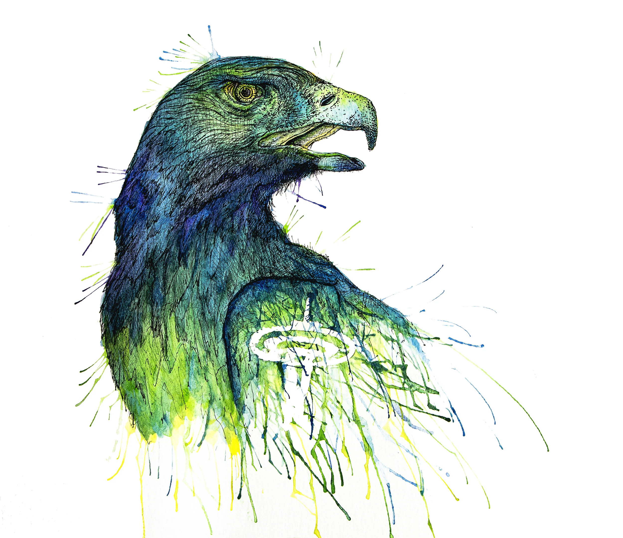 Seahawk-1.jpg