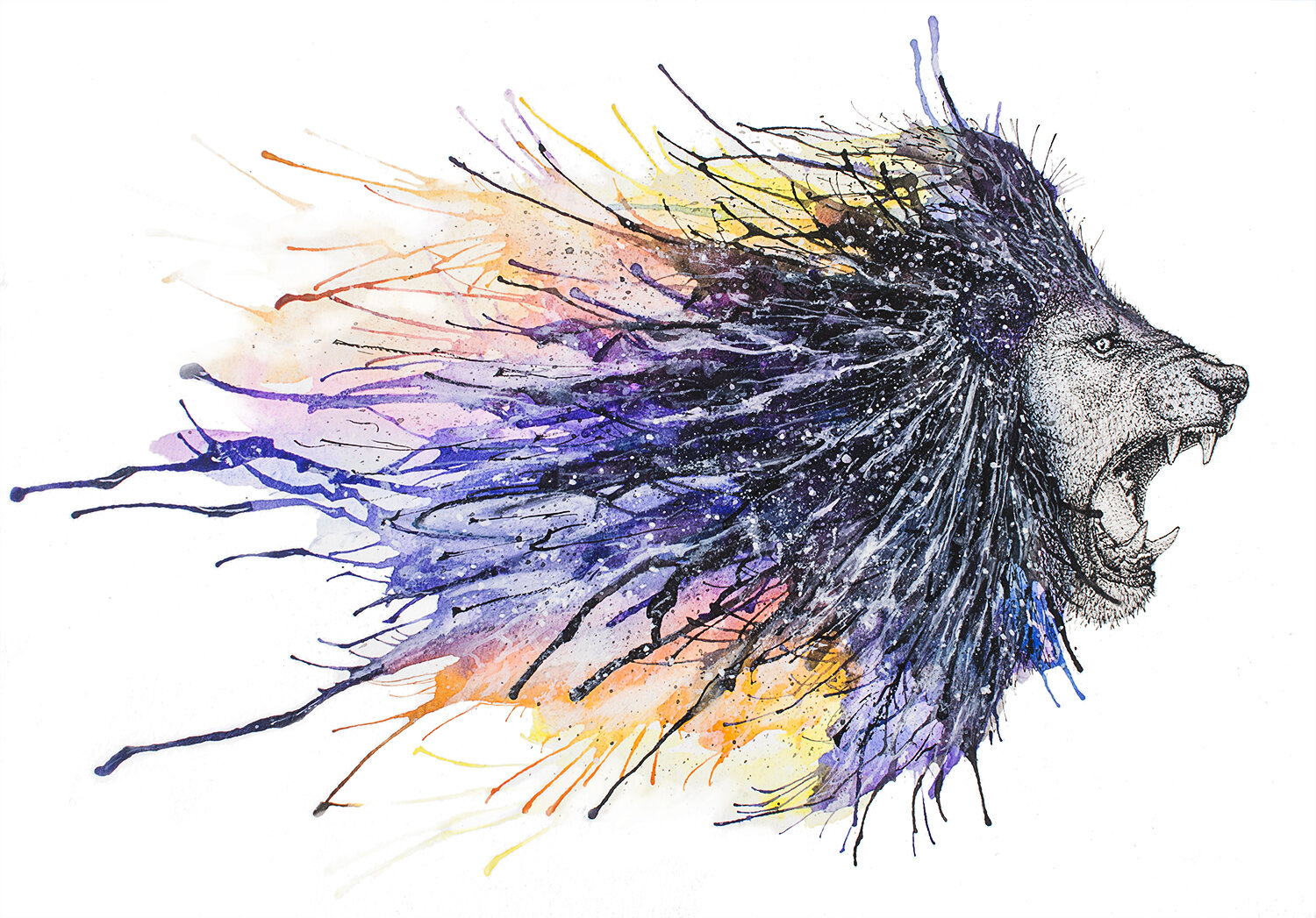 Lion
