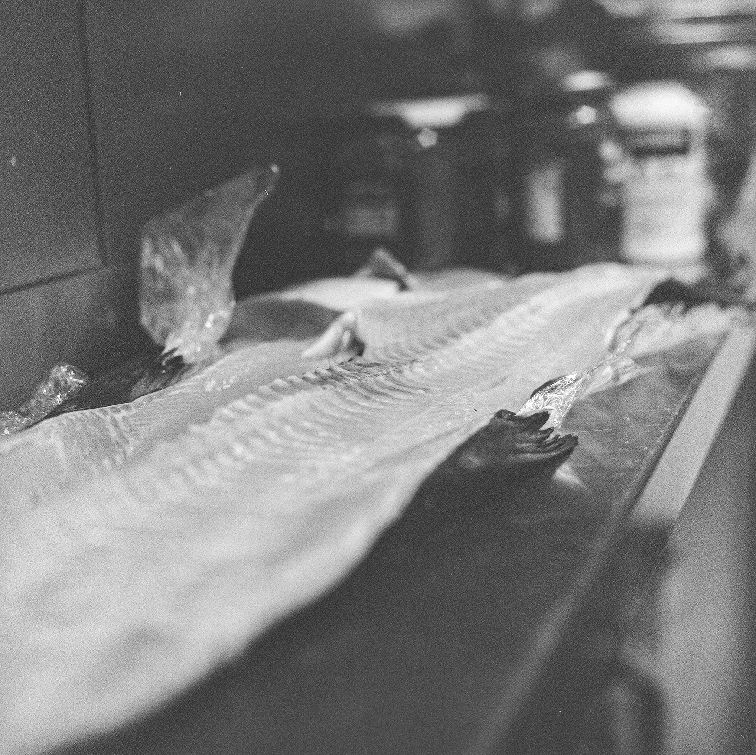 Shion_Ilford3200_-25.jpg