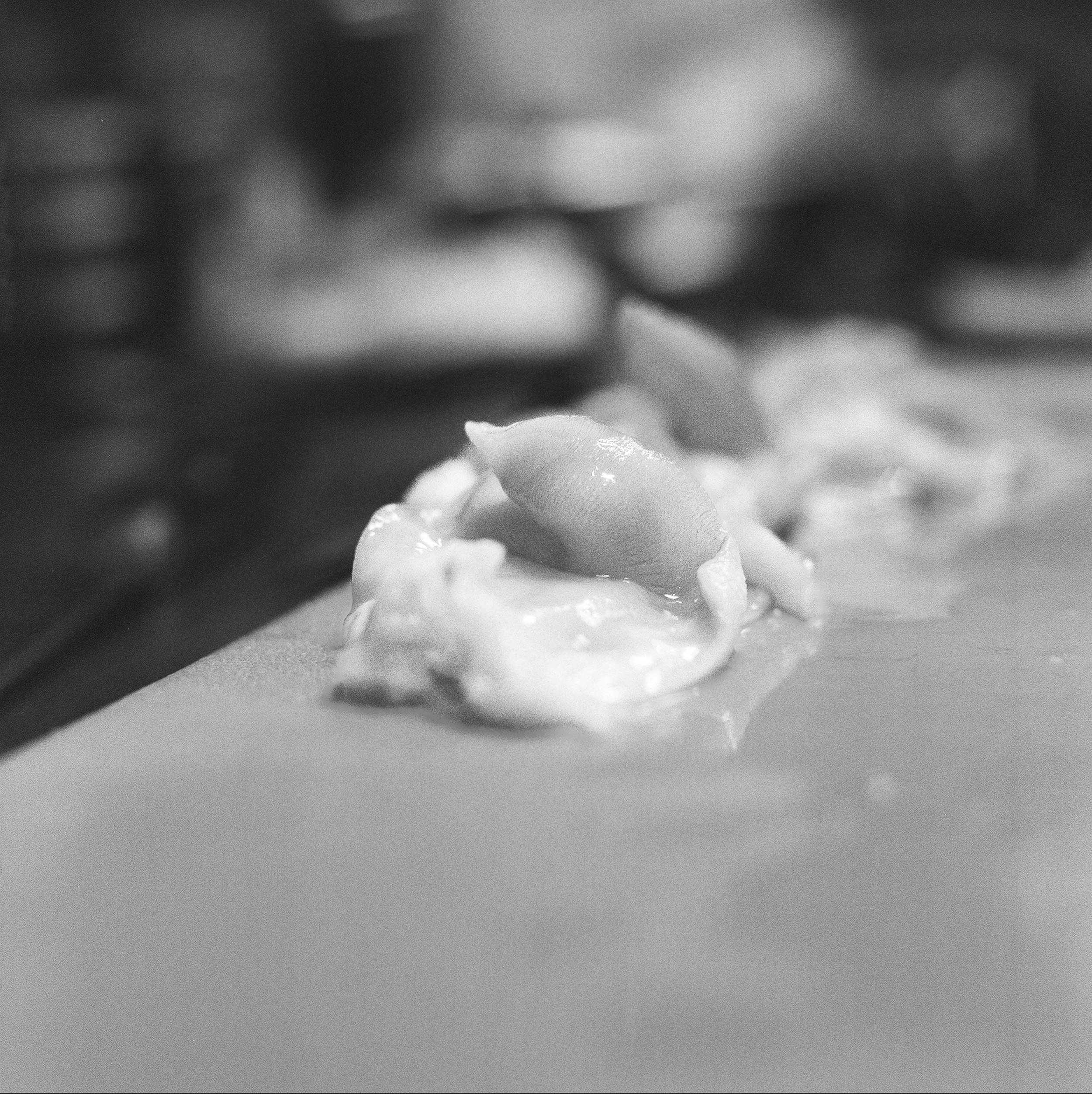 Shion_Ilford3200_-36.jpg