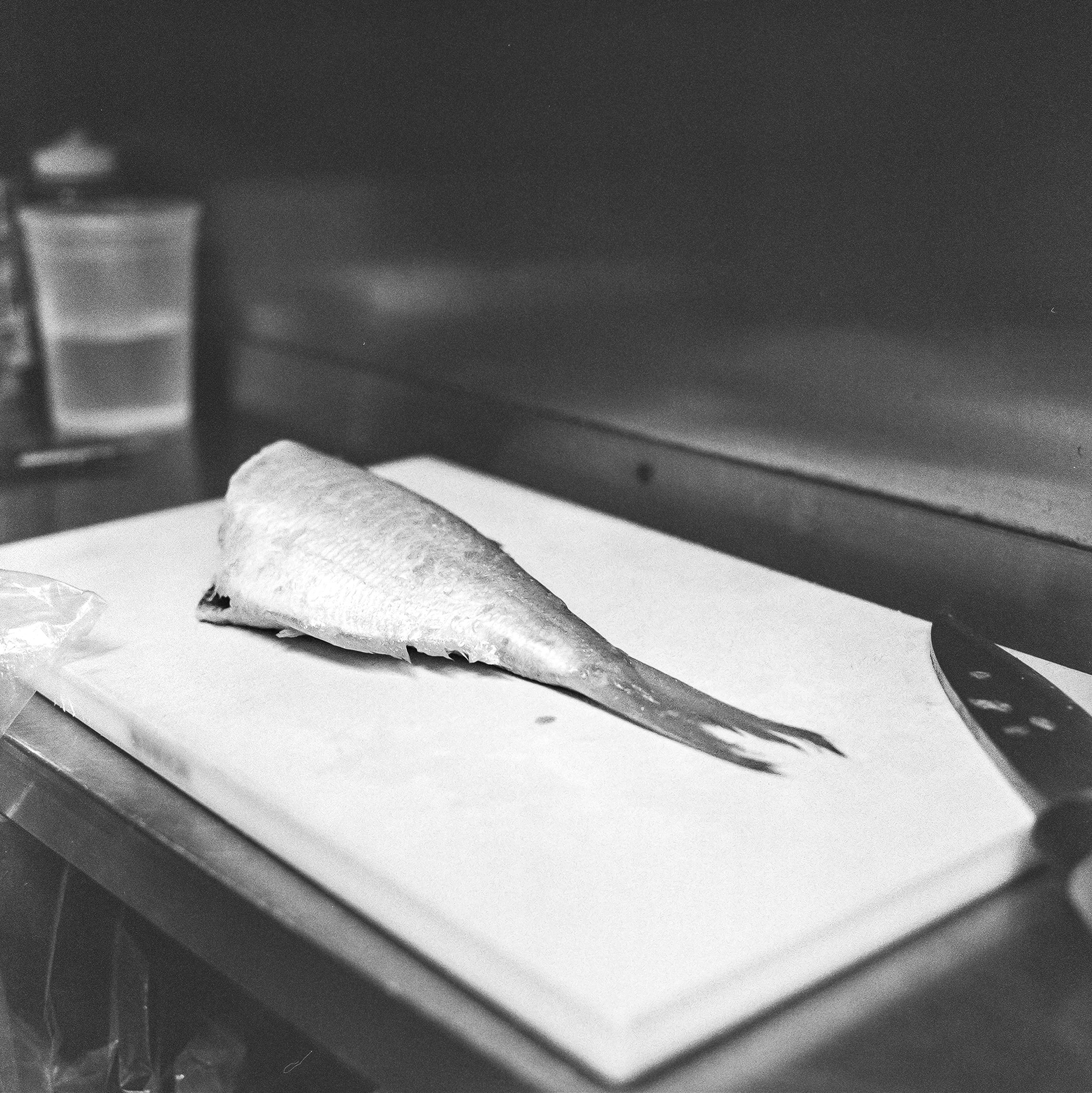 Shion_Ilford3200_-41.jpg