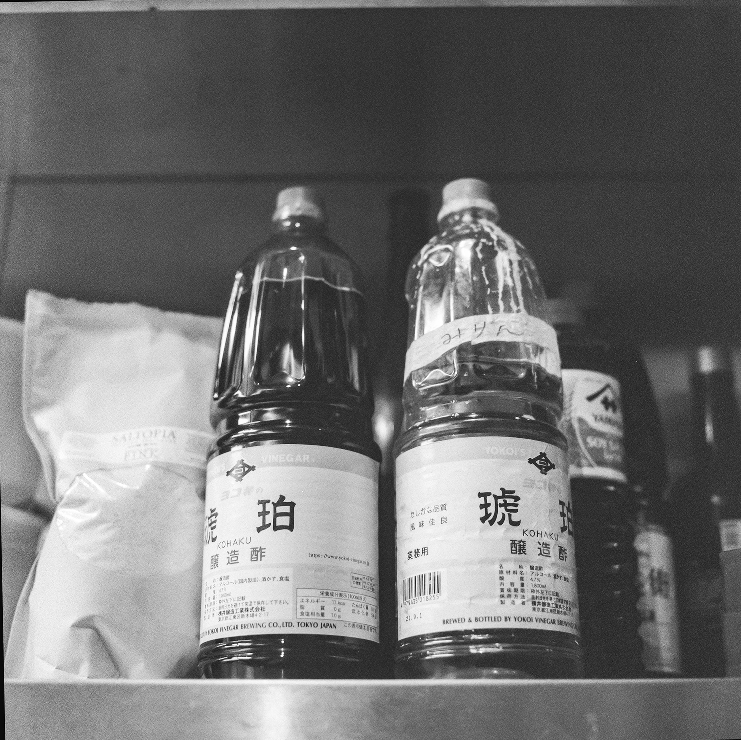 Shion_Ilford3200_-43.jpg