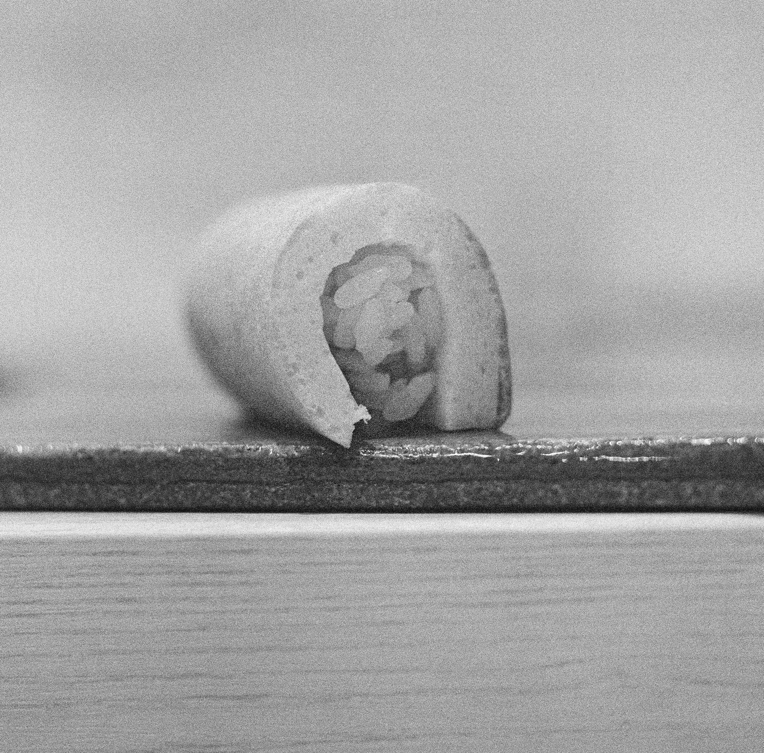 Kogane_Ilford3200_-20.jpg