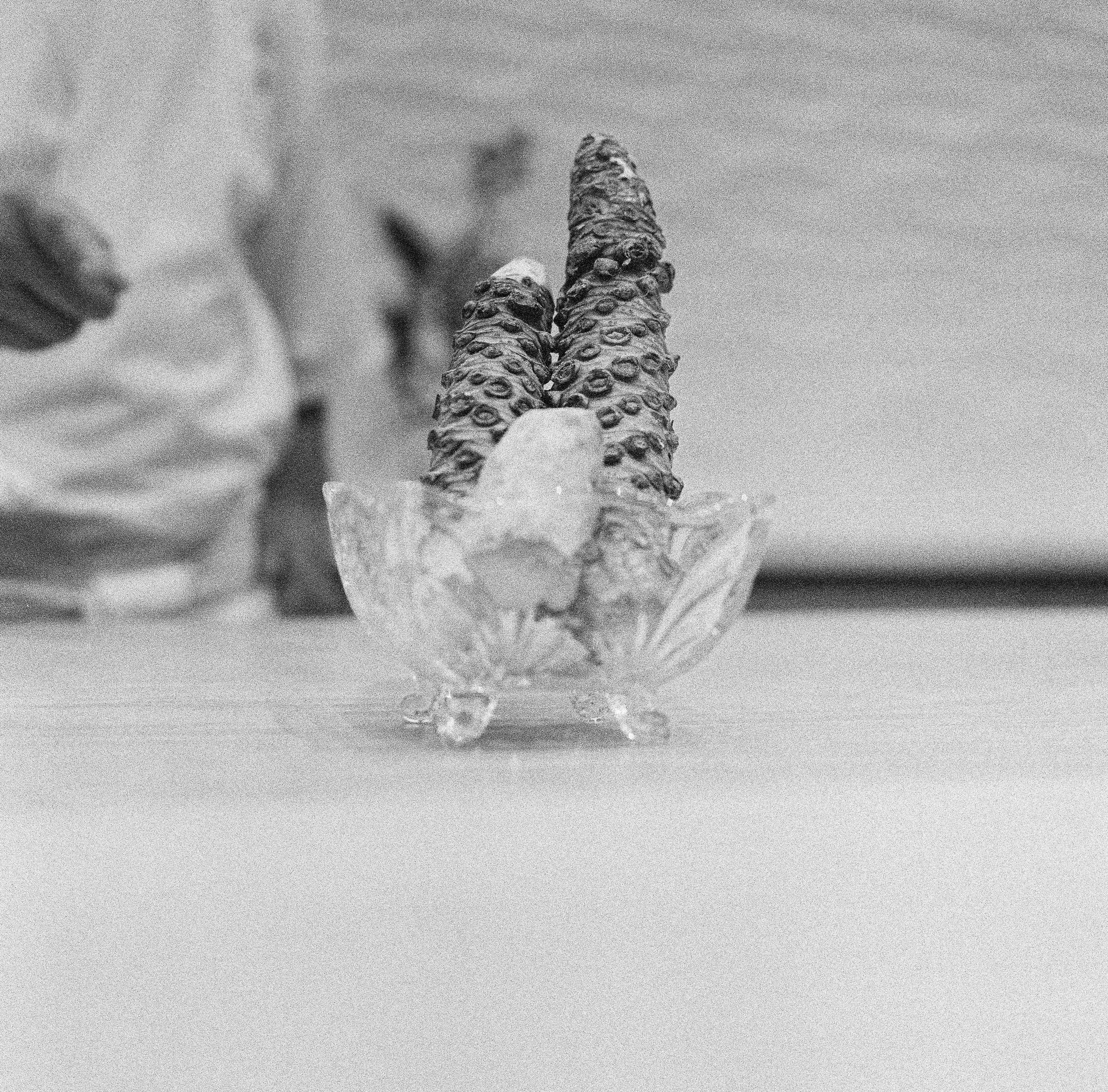 Kogane_Ilford3200_-22.jpg