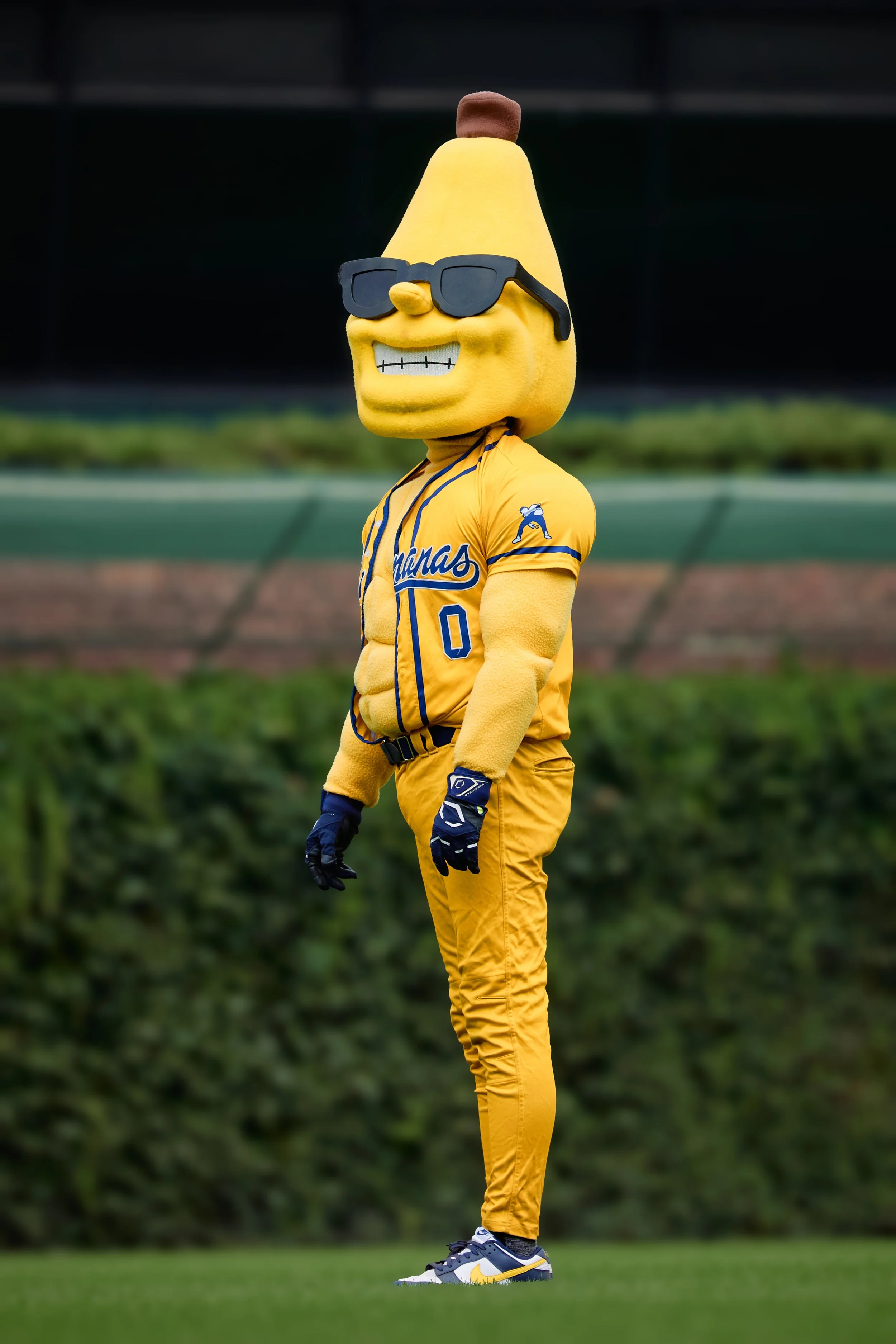 Bnanas 150 copypd.jpg