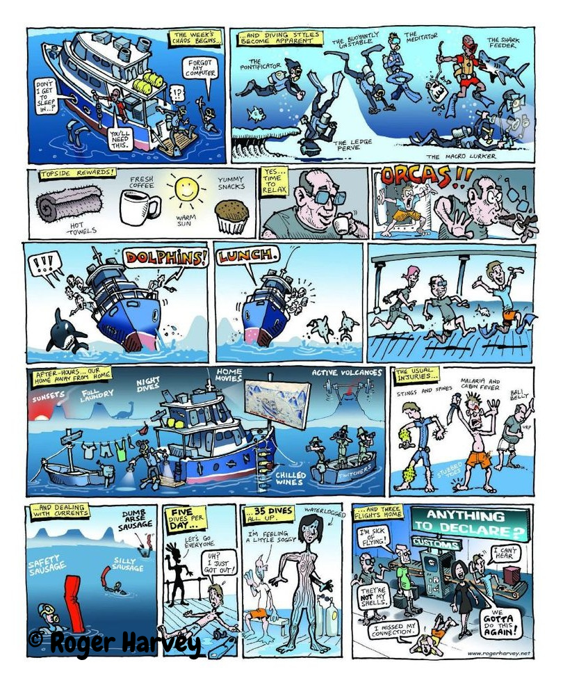 Cartoonist Roger Harvey's impression of his time on FeBrina.