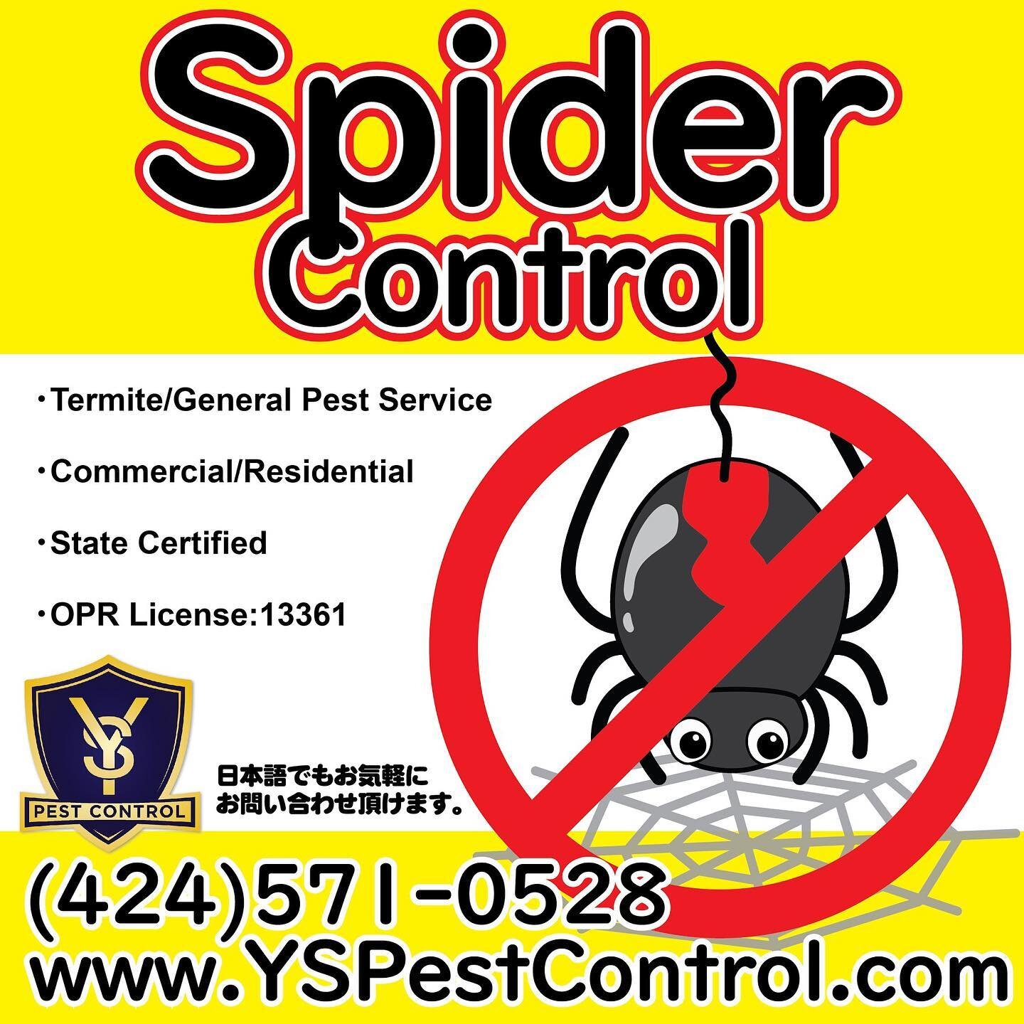 10% Discount for General Pest Control Service by Y&rsquo;s Pest Control. Discount will be applied till 5/15/21. #pestcontrol #ant #spider #roaches #rat #mice